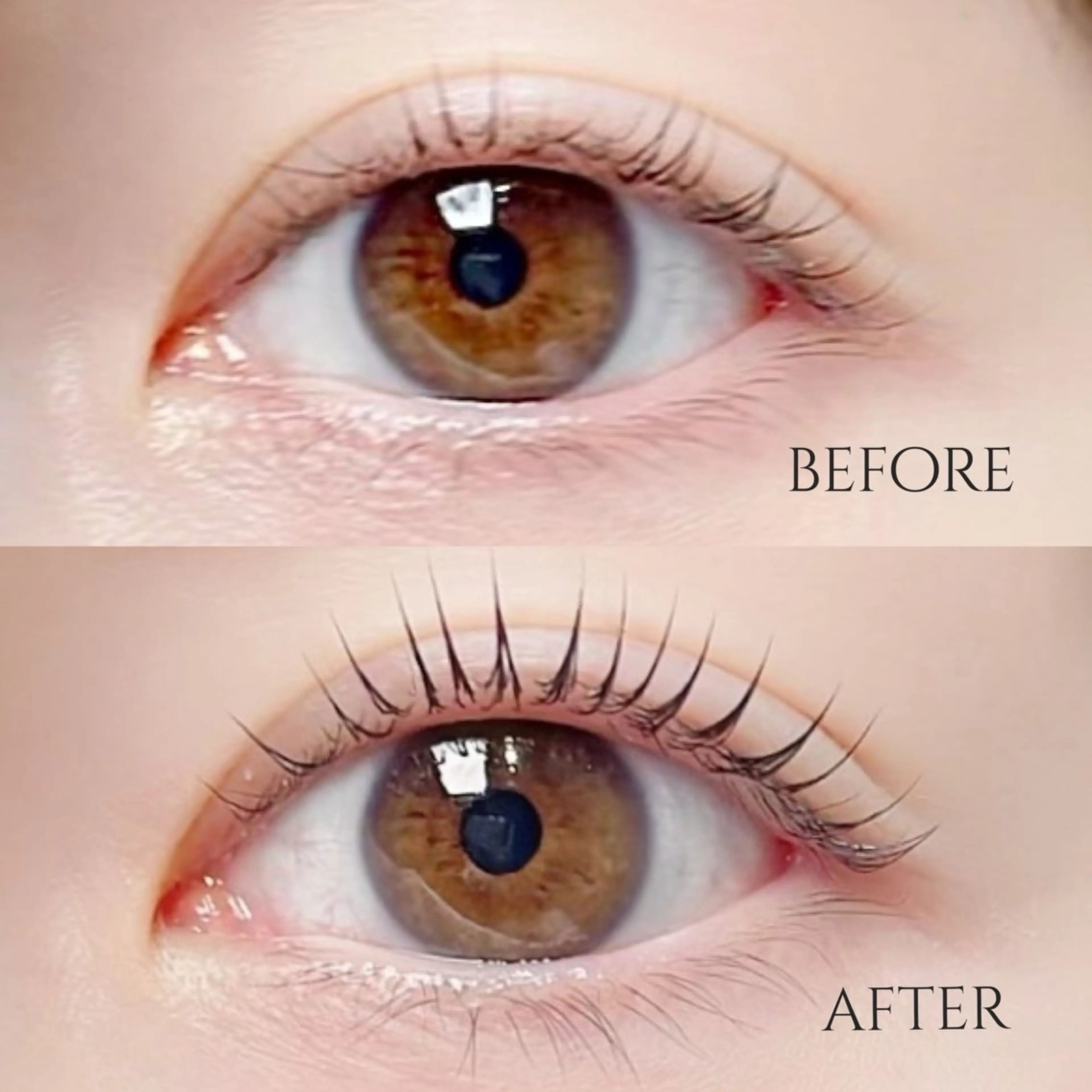 マツエク・マツパ MOMOE 恵比寿 まつげパーマのマツエク・マツパデザイン