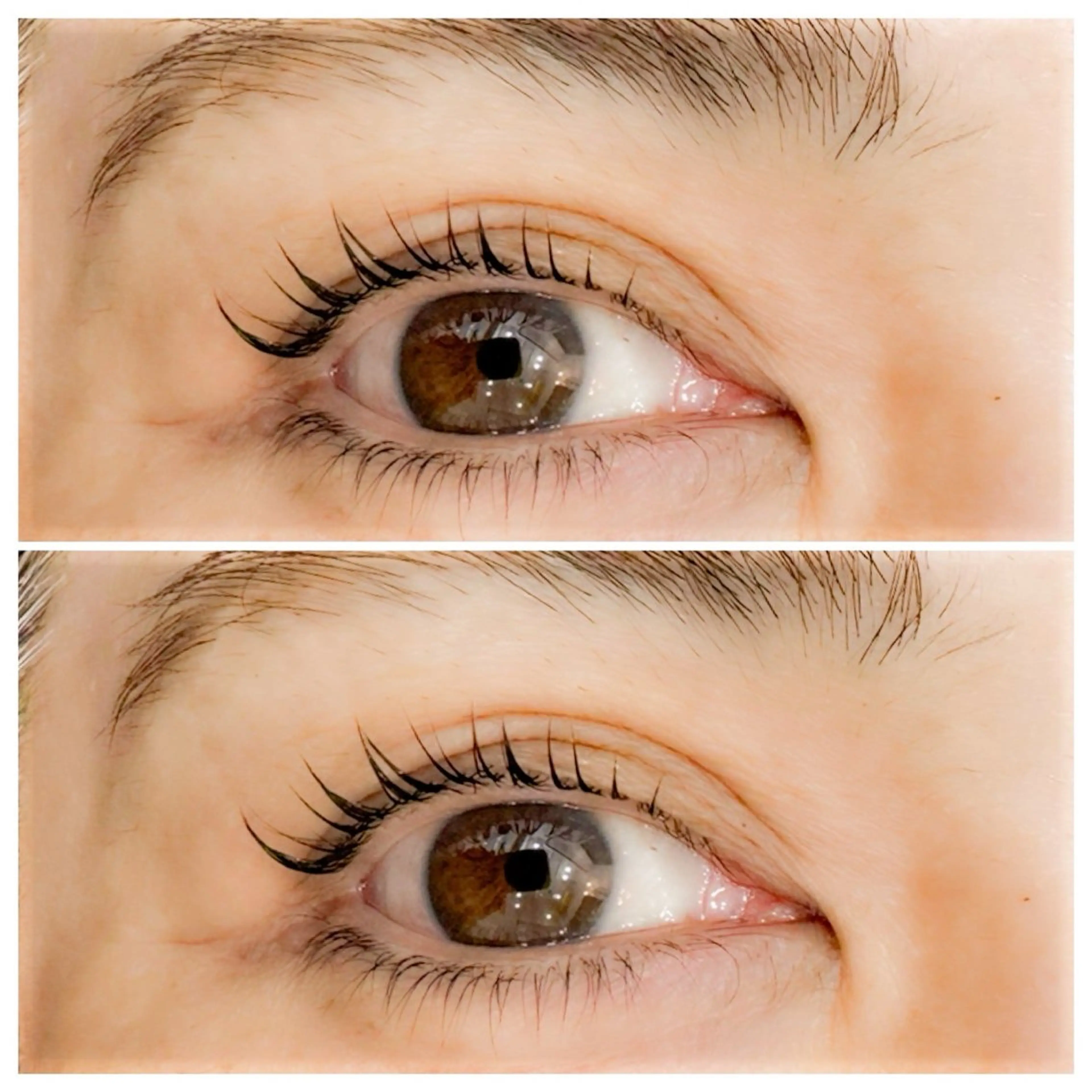 マツエク・マツパ ナチュラル Ｃｈｅｒｉｅ所属・Rina Cherieの眉毛・アイブロウイメージ