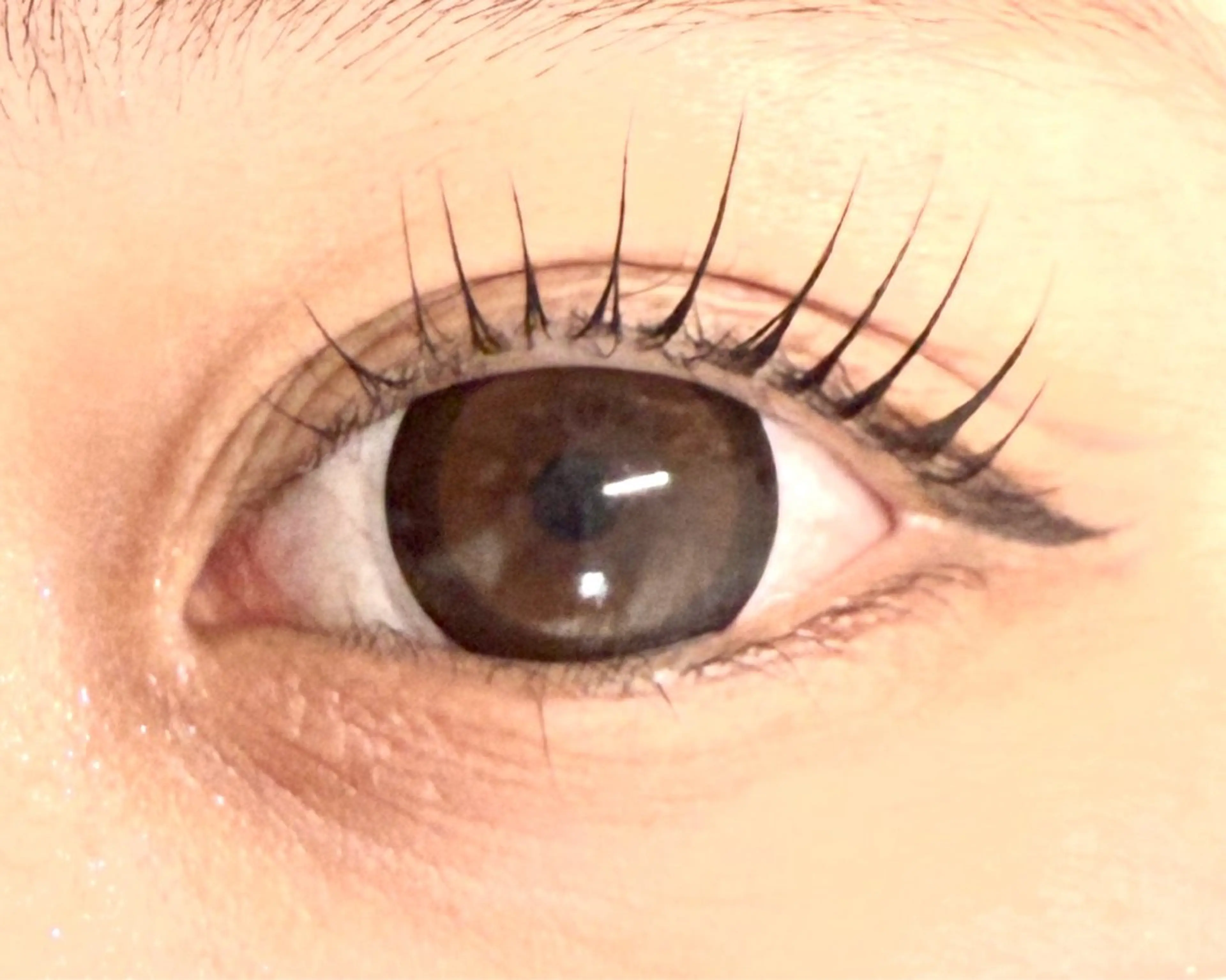 マツエク・マツパ haruka 【ever天神店】のマツエク・マツパデザイン