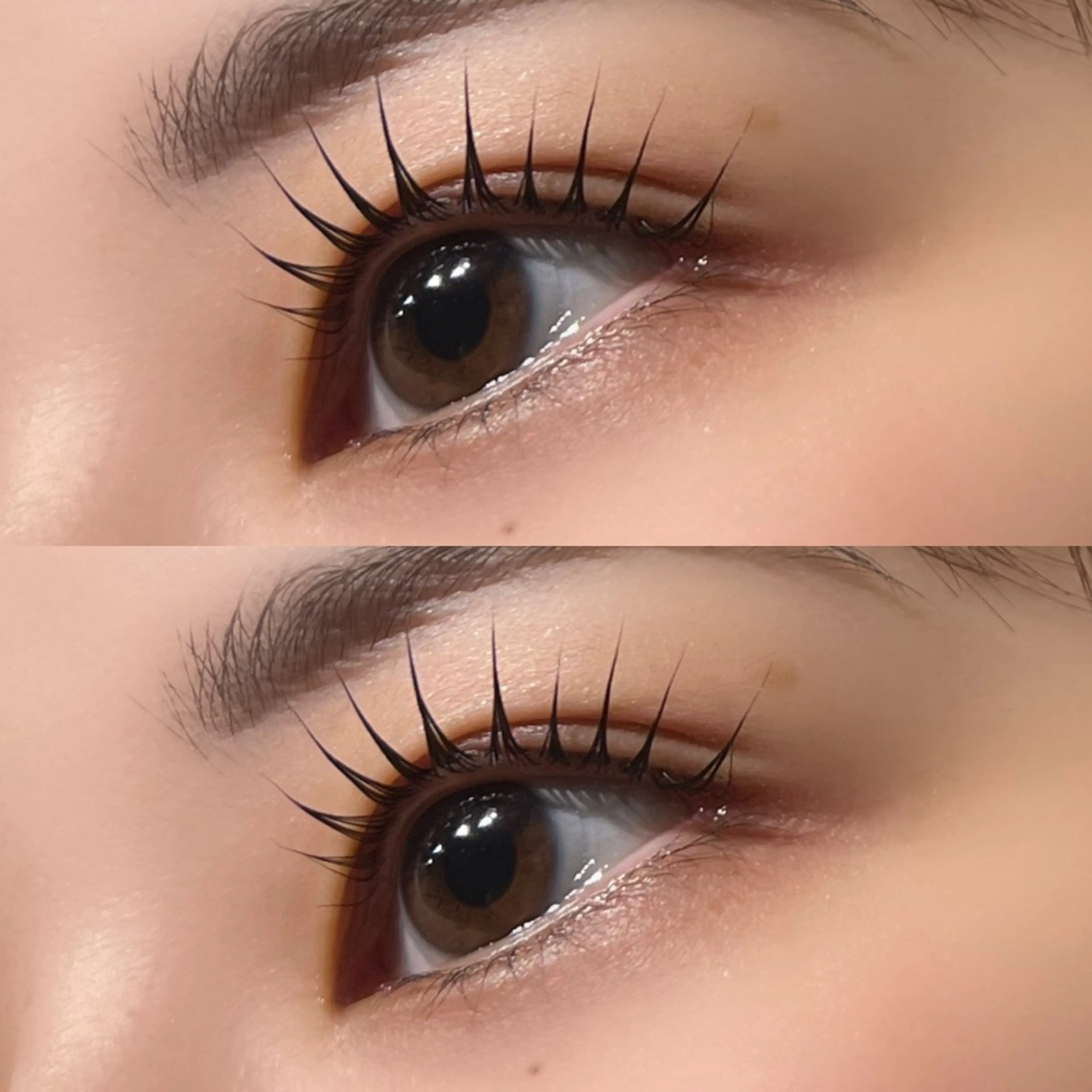 マツエク・マツパ パリジェンヌラッシュリフト Q-LASH アカデミーサロン池袋の眉毛・アイブロウイメージ
