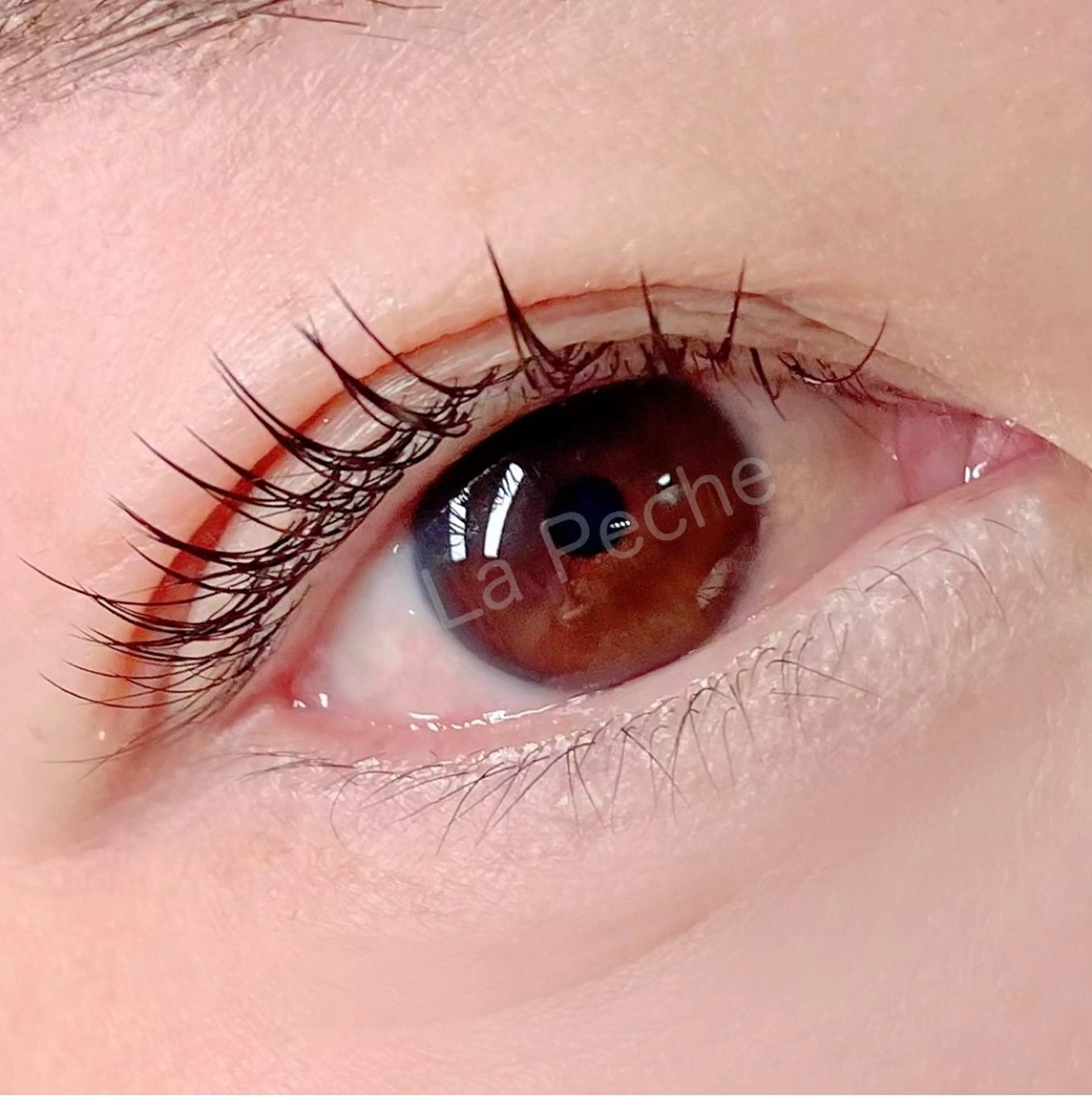 マツエク・マツパ マツエク La Peche momokoのマツエク・マツパデザイン