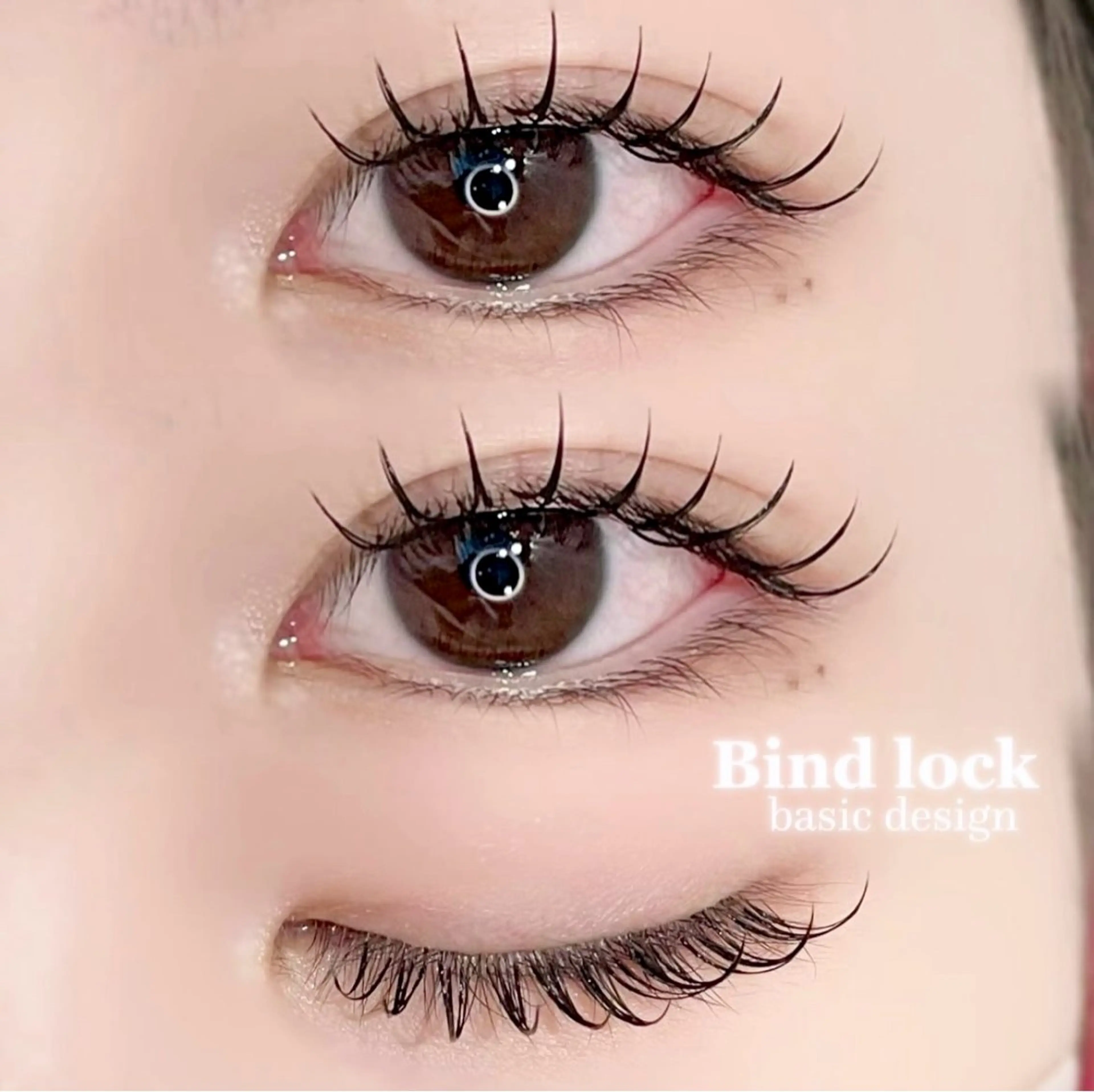 バインドロック 60束(120本) 2回目以降→ ¥6,560の写真