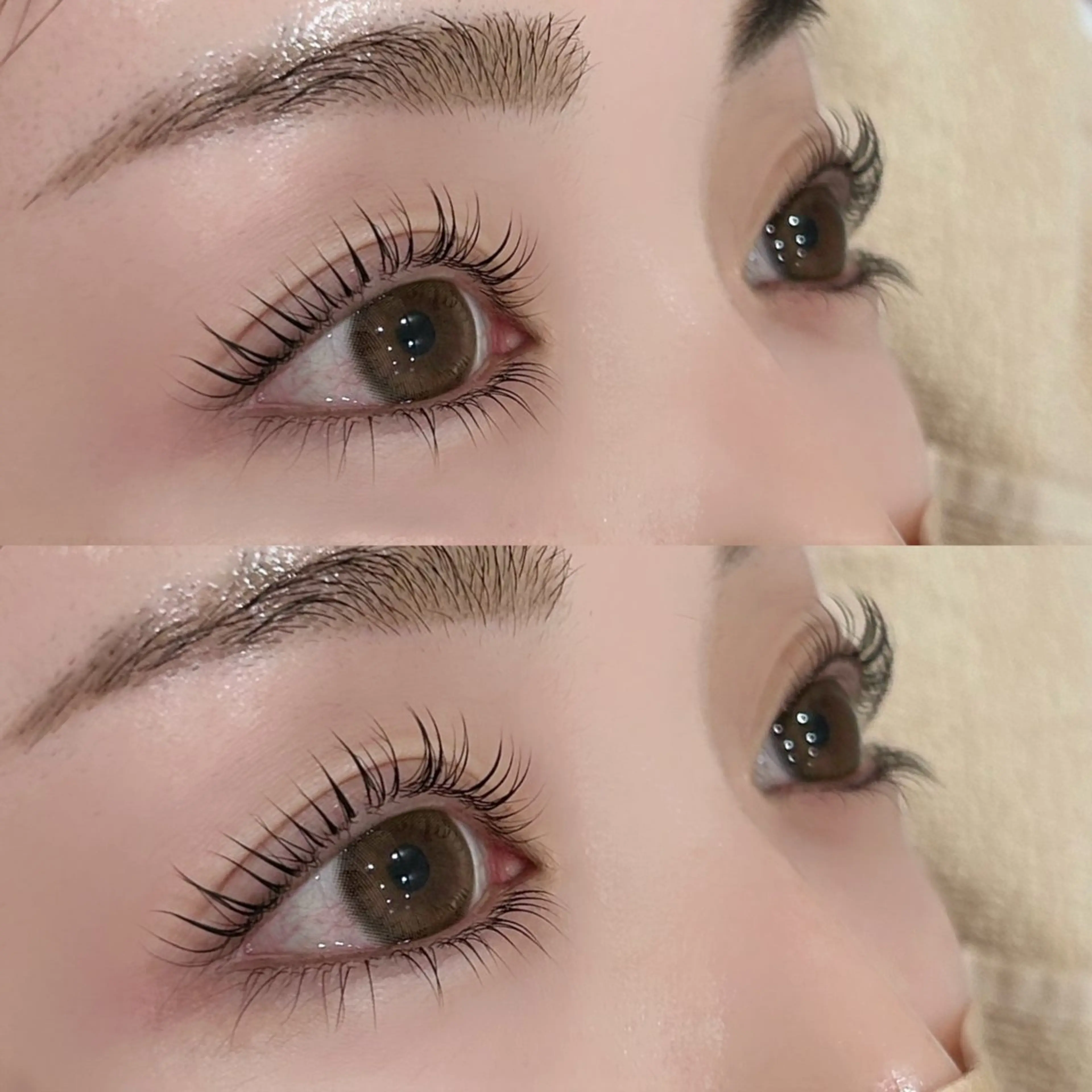 【ミニモ限定🎀👻】まつ毛パーマ🐰コーティング込🧴の写真