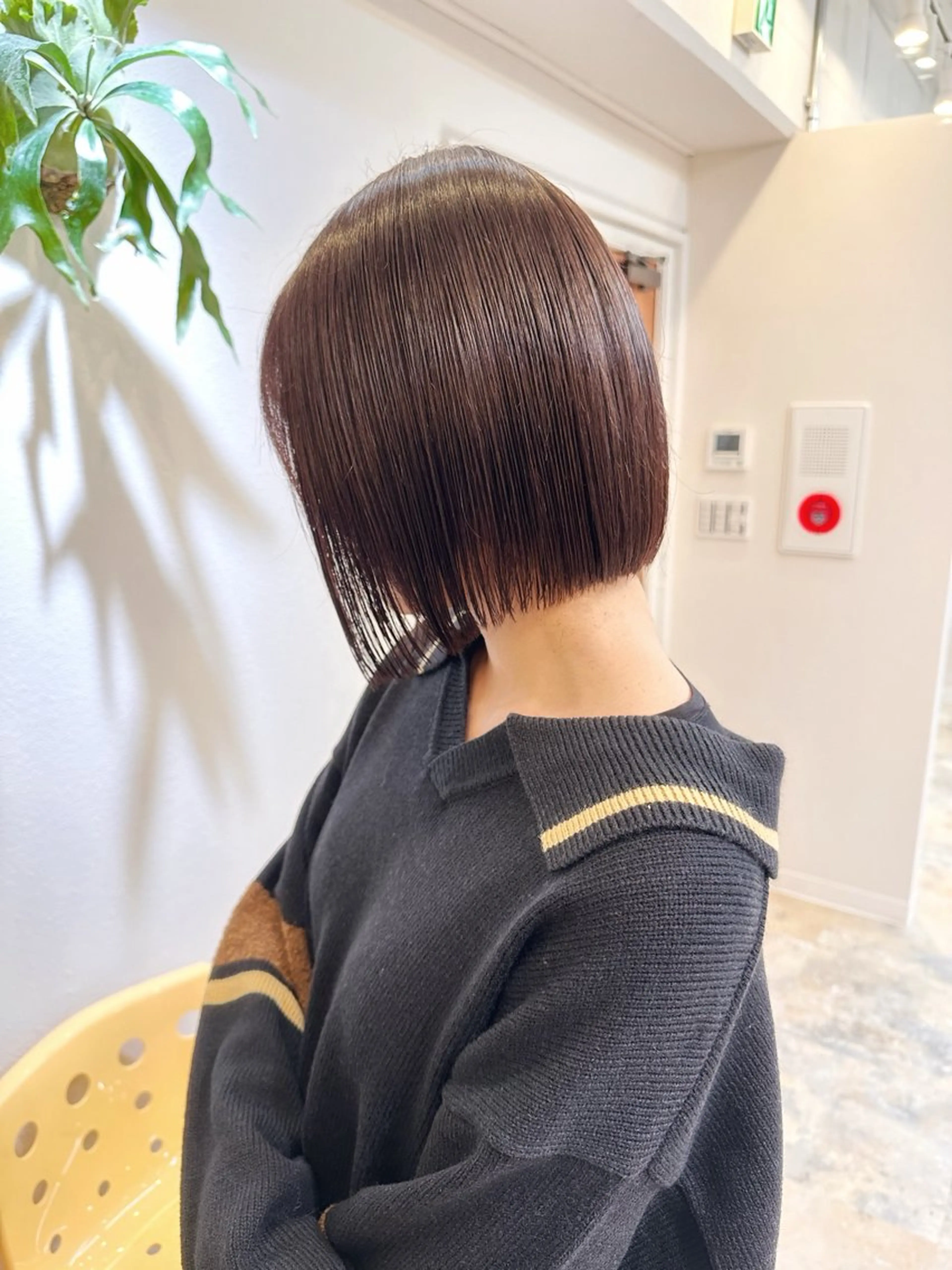 ショート ボブ ヘアカラー トリートメント ボブ特化✂️ shotoのヘアスタイル