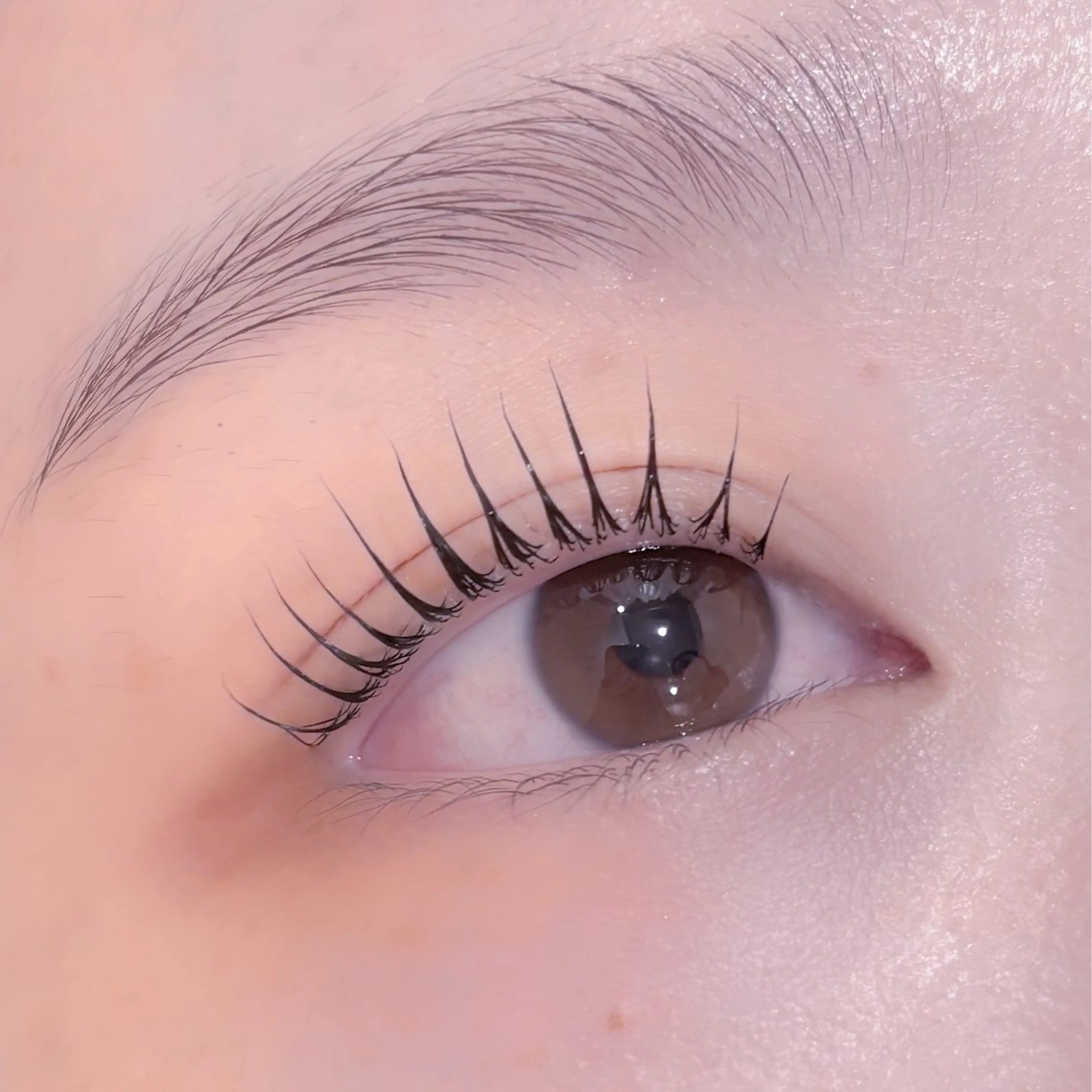 マツエク・マツパ pono大宮東口店 店長🩰AOHA🩰のマツエク・マツパデザイン