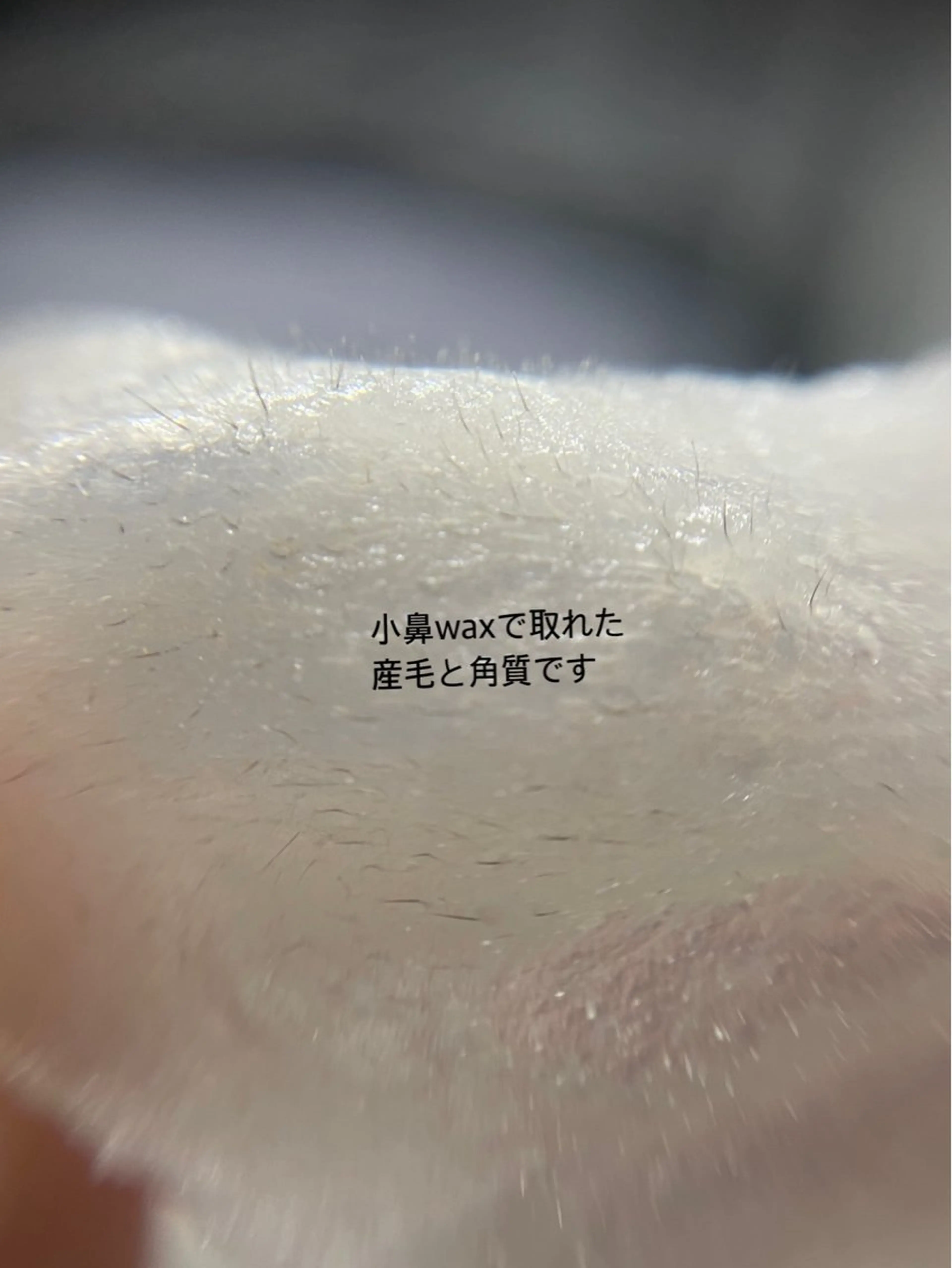 アイブロウ eclipse eyelashのマツエク・マツパデザイン