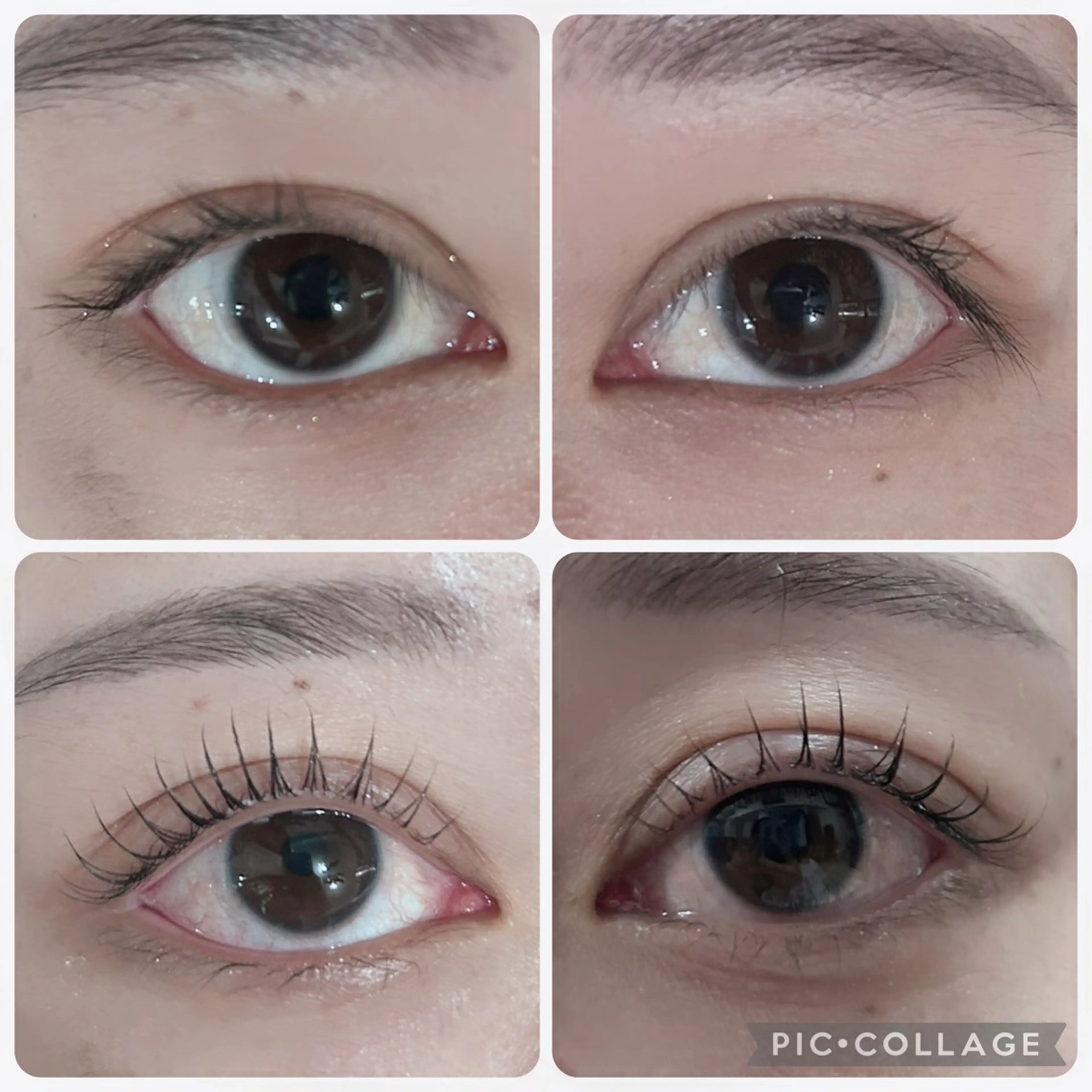 マツエク・マツパ WHITE  EYE 関内店所属・WHITE EYE MOMOの眉毛・アイブロウイメージ