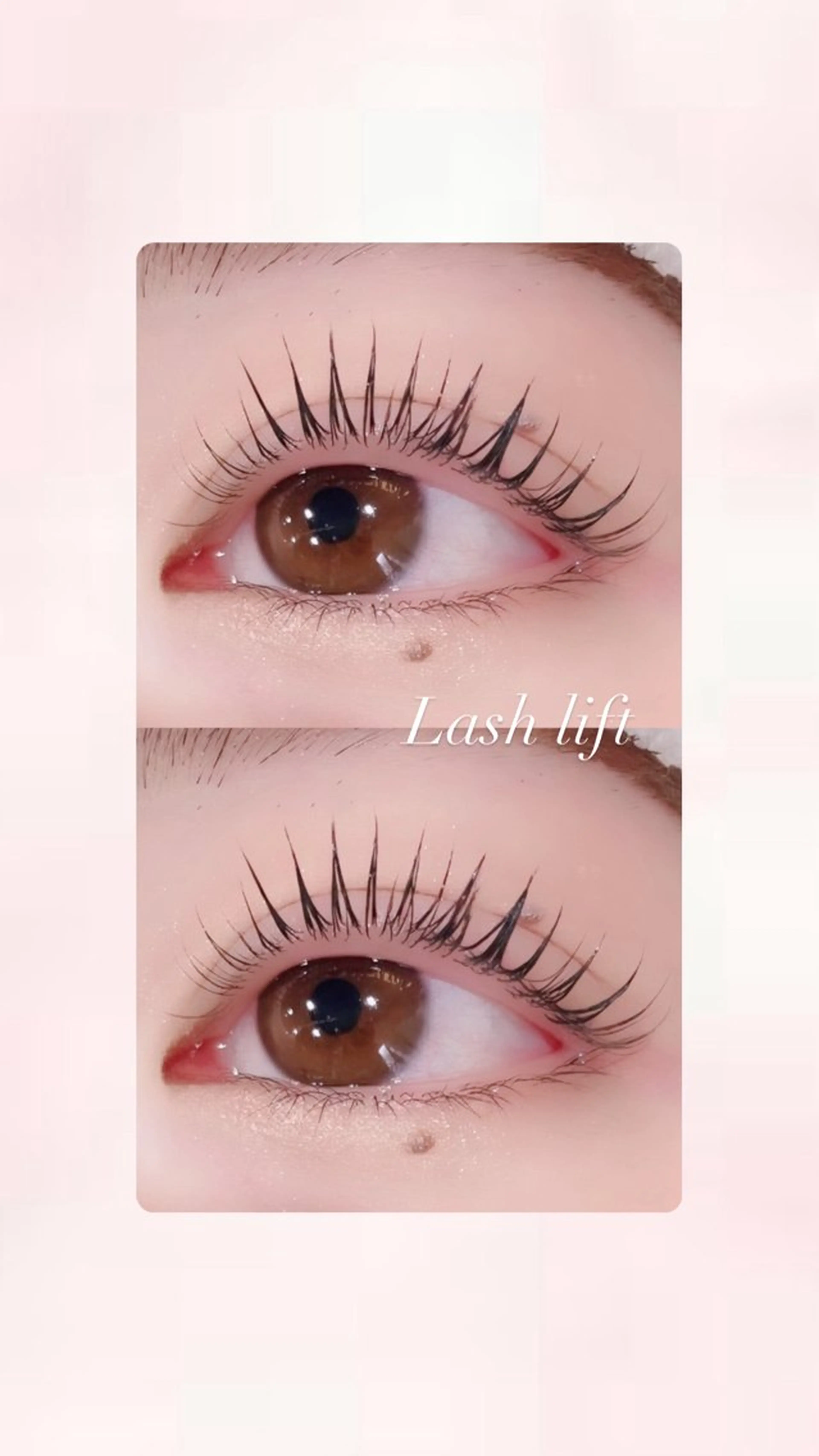 マツエク・マツパ まつげパーマ RENE 💙🐬のマツエク・マツパデザイン