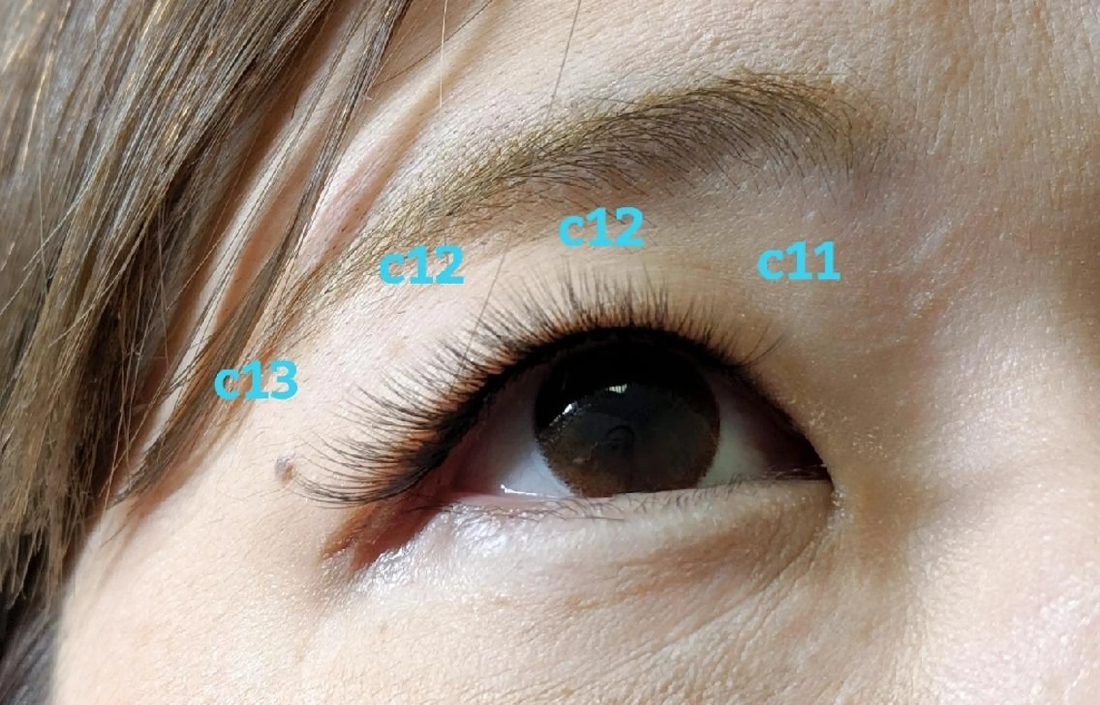 マツエク・マツパ 目尻長め 佐野 亜祐梨のマツエク・マツパデザイン