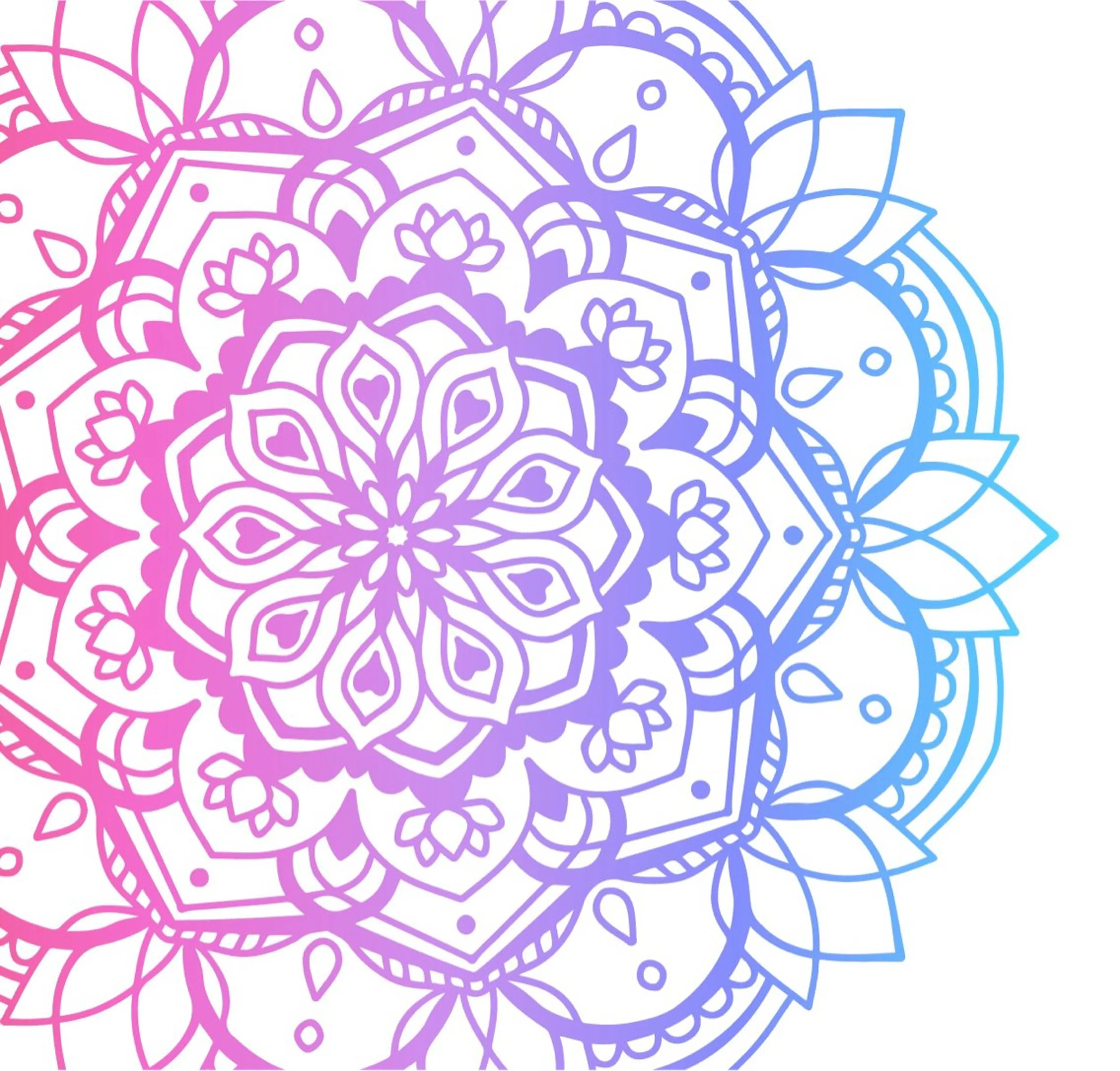 2回目限定クーポン(2週間以内来店限定)の写真