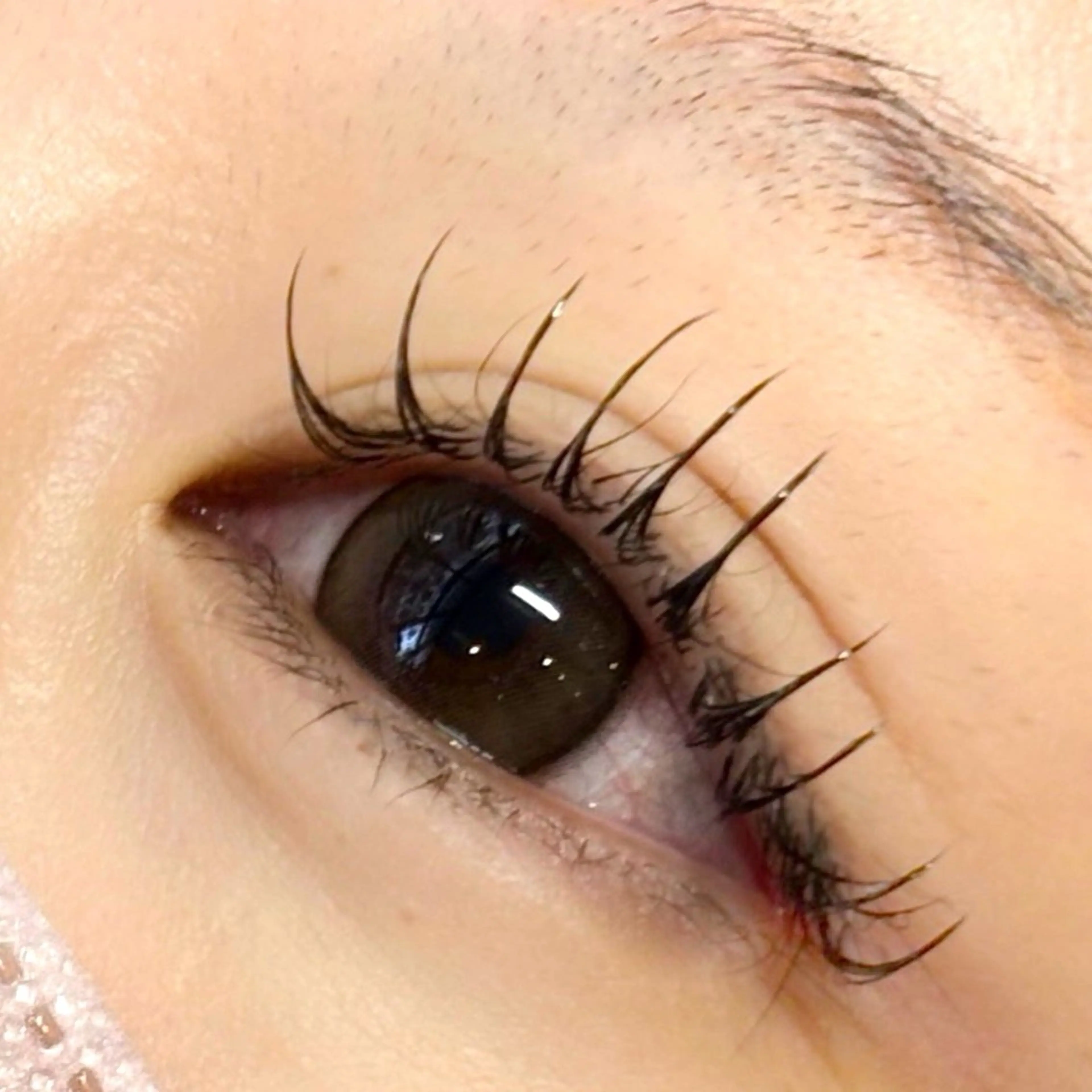 マツエク・マツパ キュート フラットラッシュ lino eyelash&eyebrow淡路店所属・【lino】 Reina🎀のマツエク・マツパデザイン