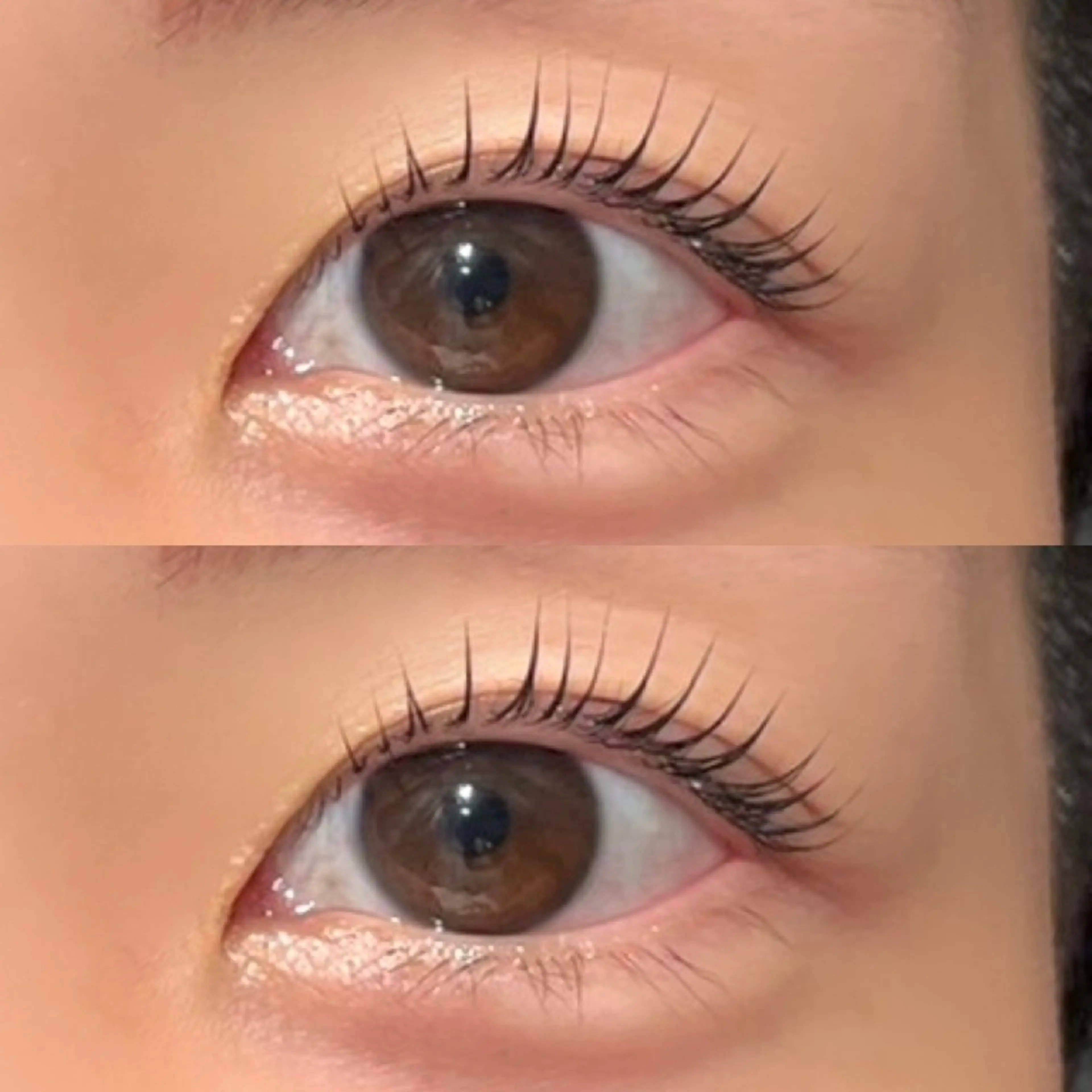 マツエク・マツパ 🎀レイヤー/ カラー🐕‍🦺anのヘアスタイル