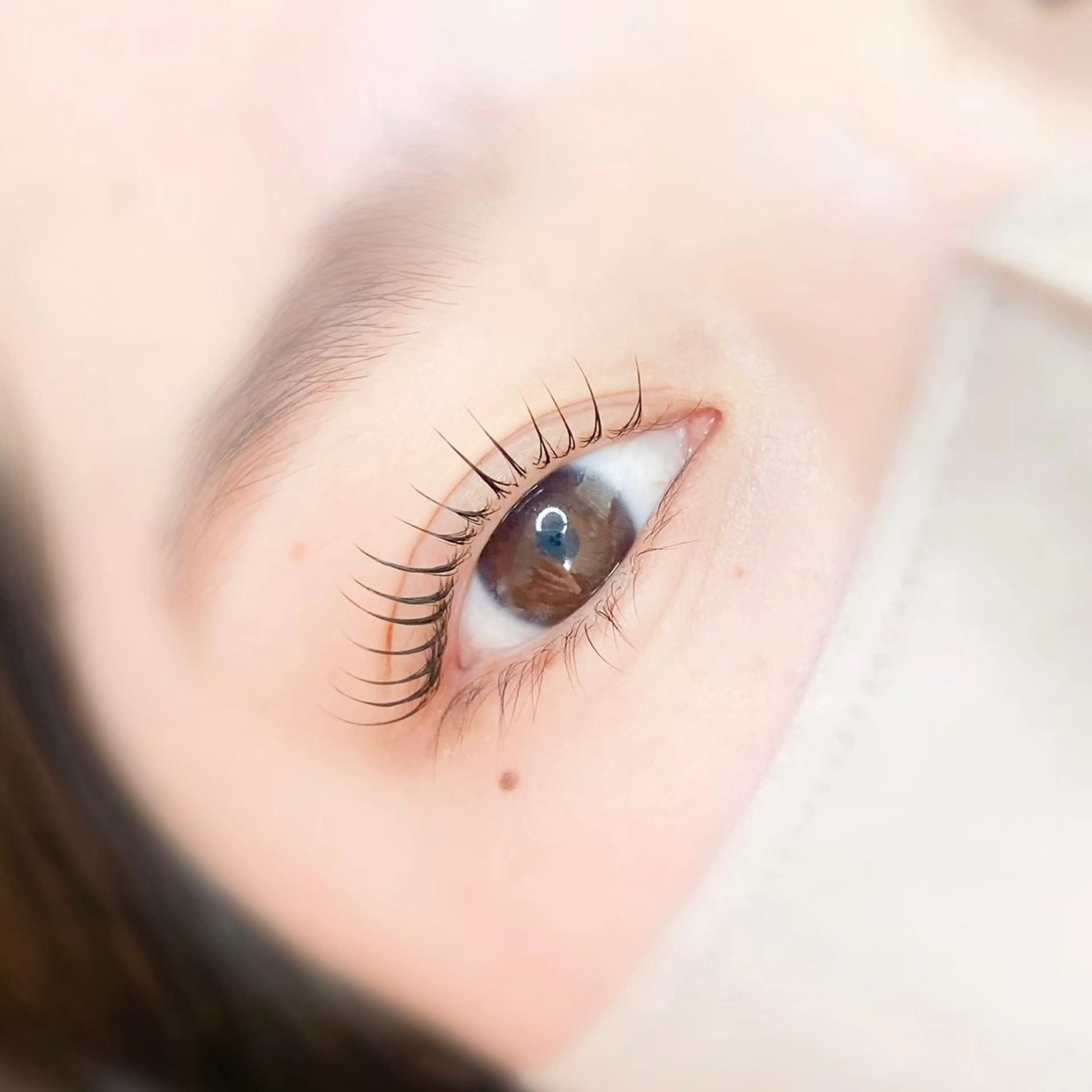 4Dflowダメージレスまつ毛パーマモデル募集✨の写真