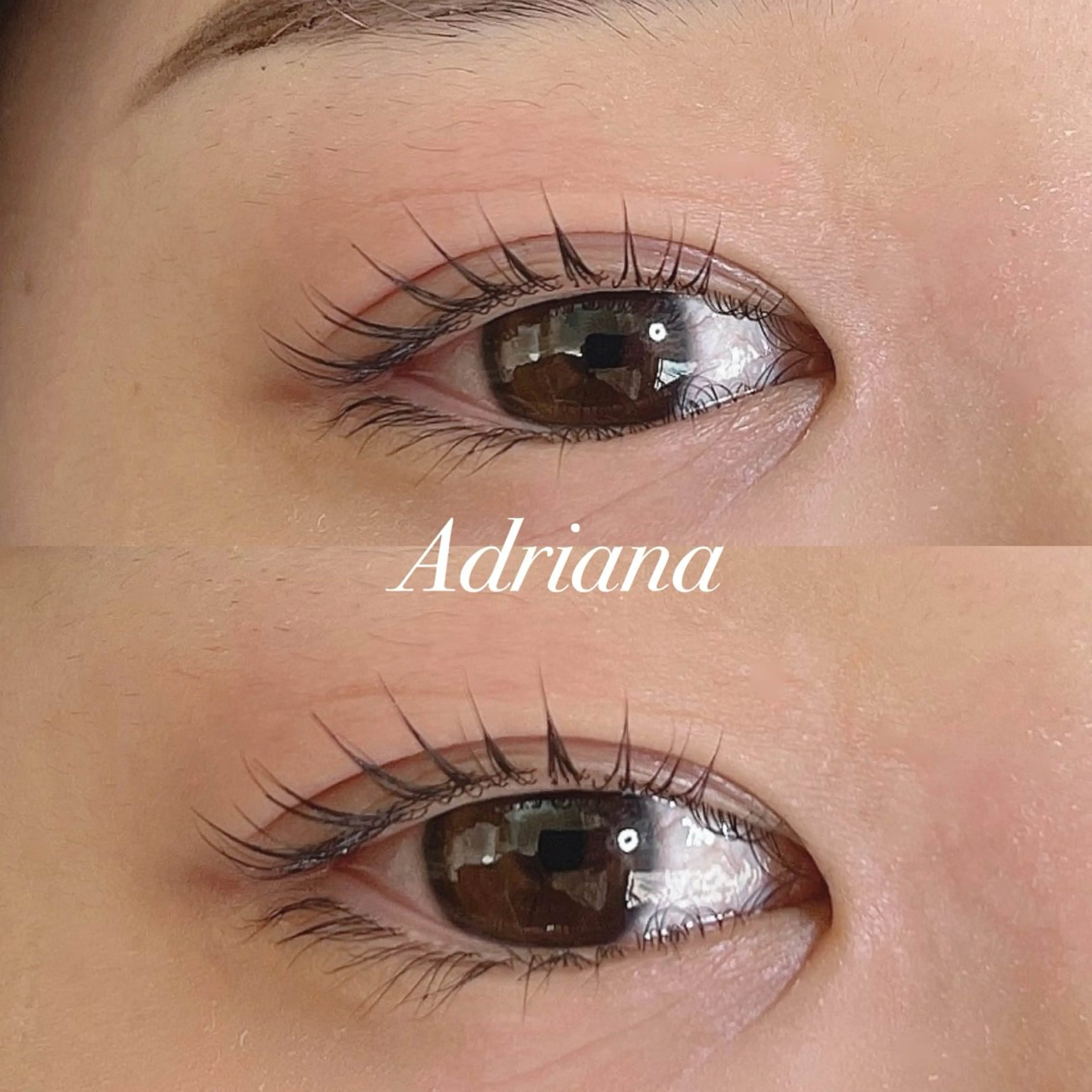 マツエク・マツパ ADRIANA 大久保駅前徒歩2分のその他イメージ