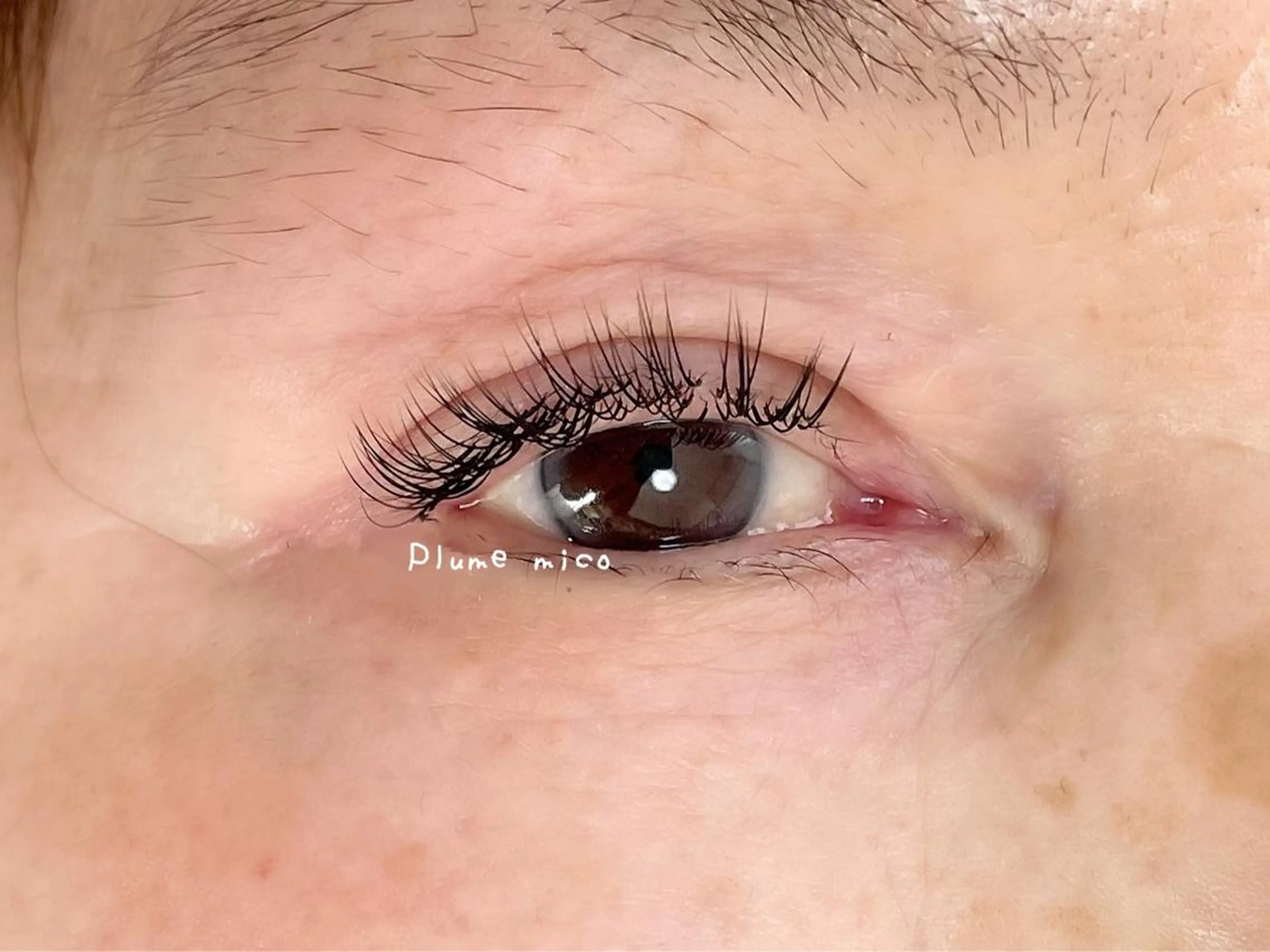 マツエク・マツパ マツエク Plume micoのマツエク・マツパデザイン