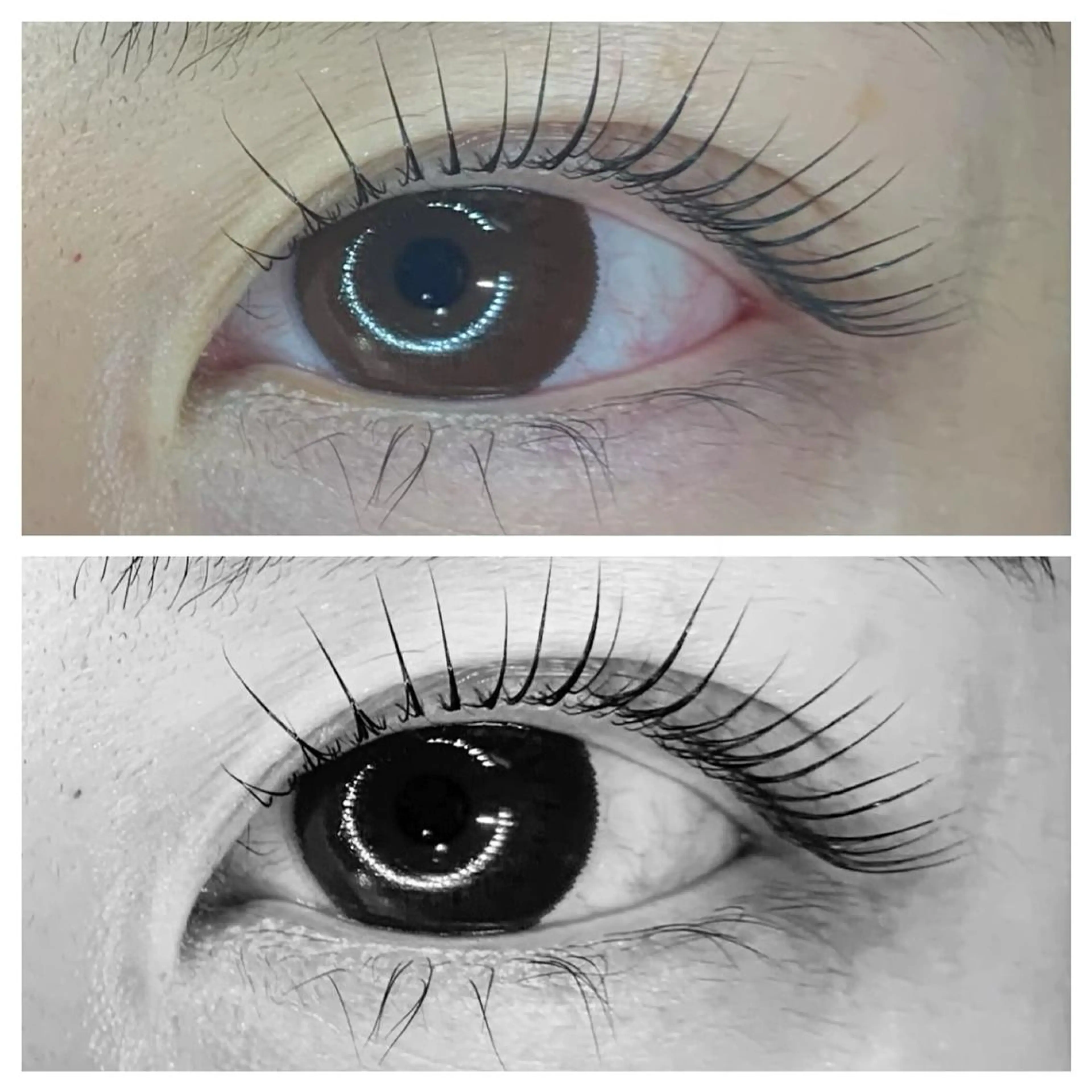 ◎オーガニックケラチンtreatment◎まつ毛パーマbefore after撮影のご協力頂ける方。の写真