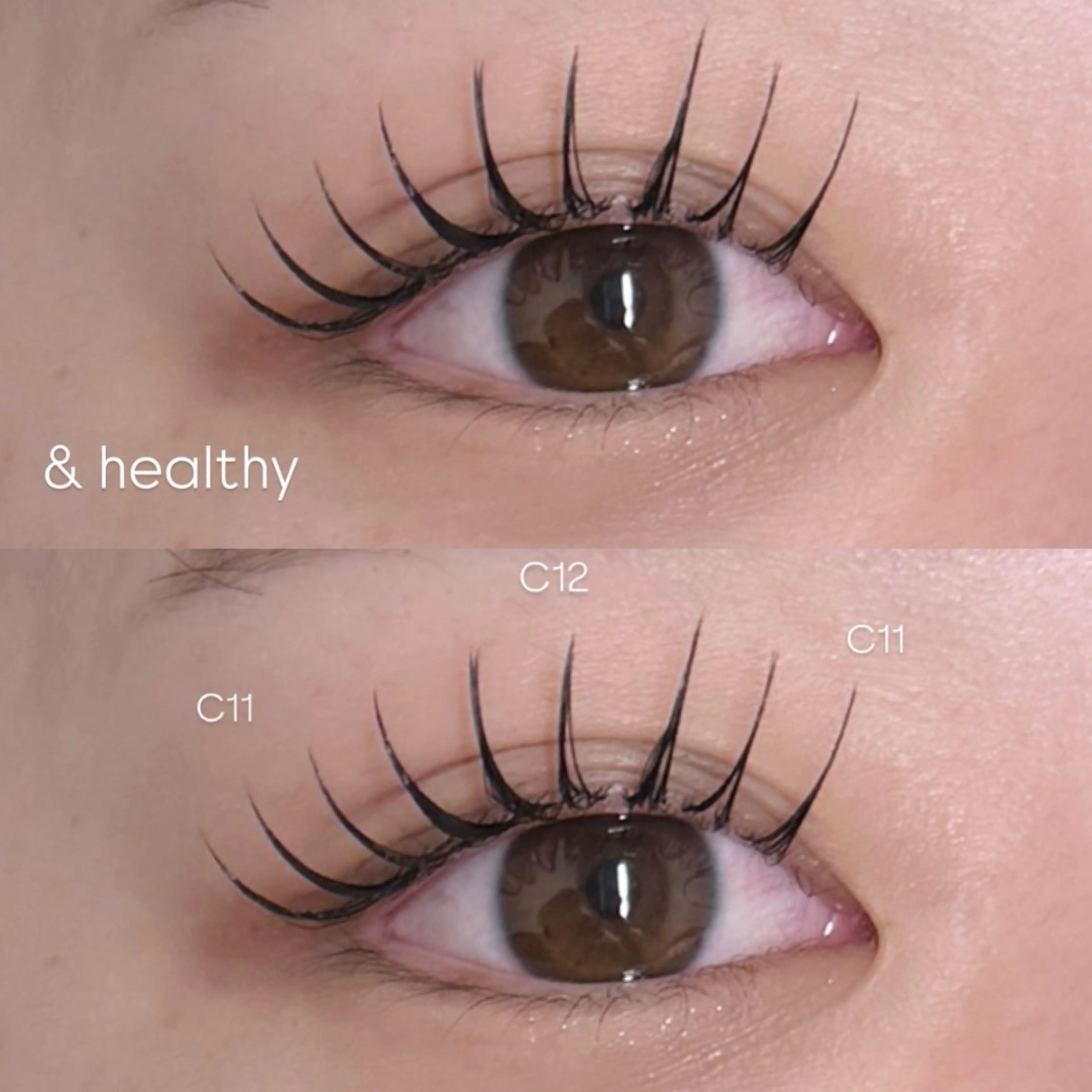 マツエク・マツパ まつげパーマ Plus Elima所属・Plus Elima / RIOのマツエク・マツパデザイン