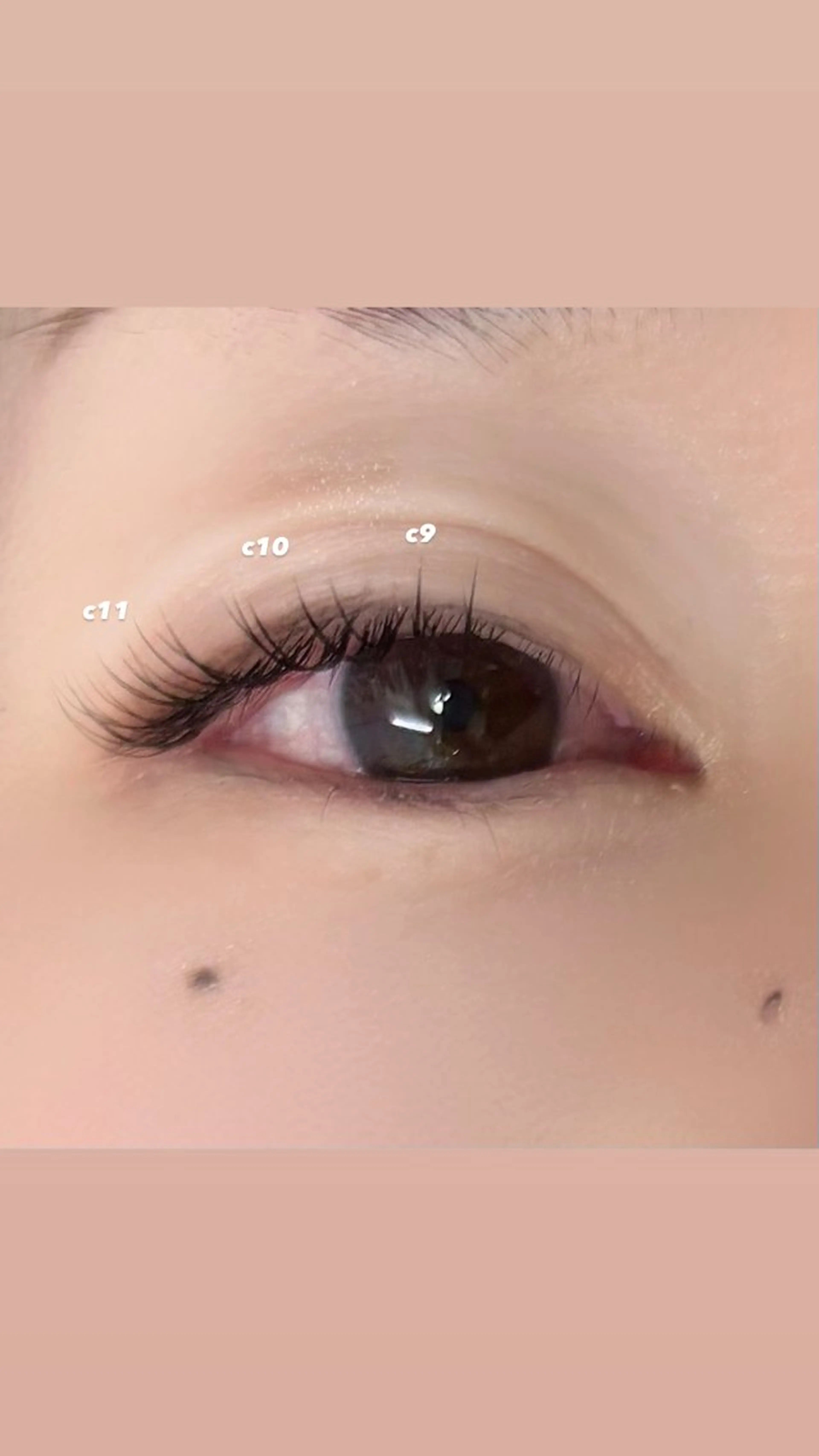 マツエク・マツパ フラットラッシュ Ayumi.dre 🐹H〈2階〉のマツエク・マツパデザイン