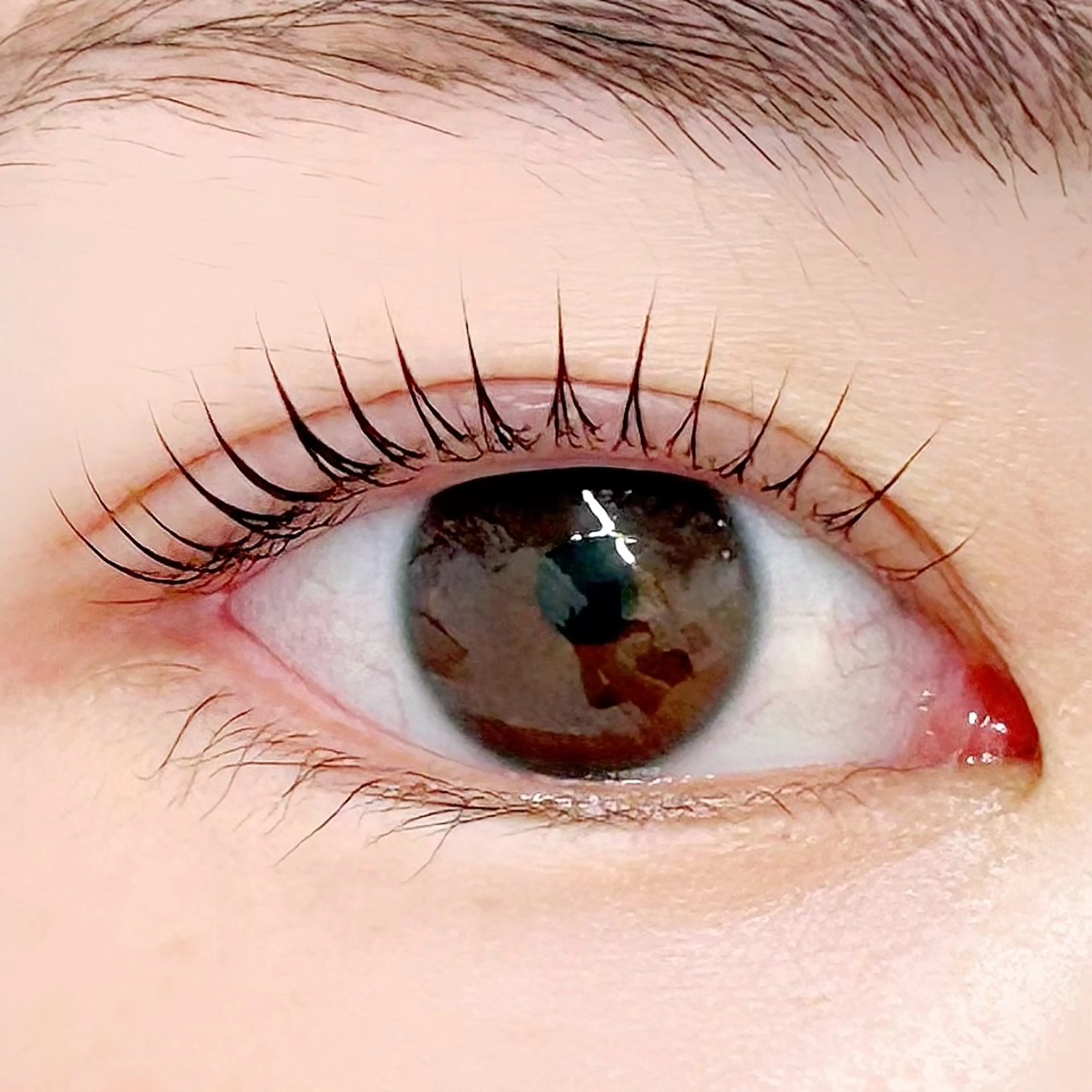 マツエク・マツパ パリジェンヌラッシュリフト 一重×まつ毛パーマ BellFlower Aki（眉・まつげ）のマツエク・マツパデザイン