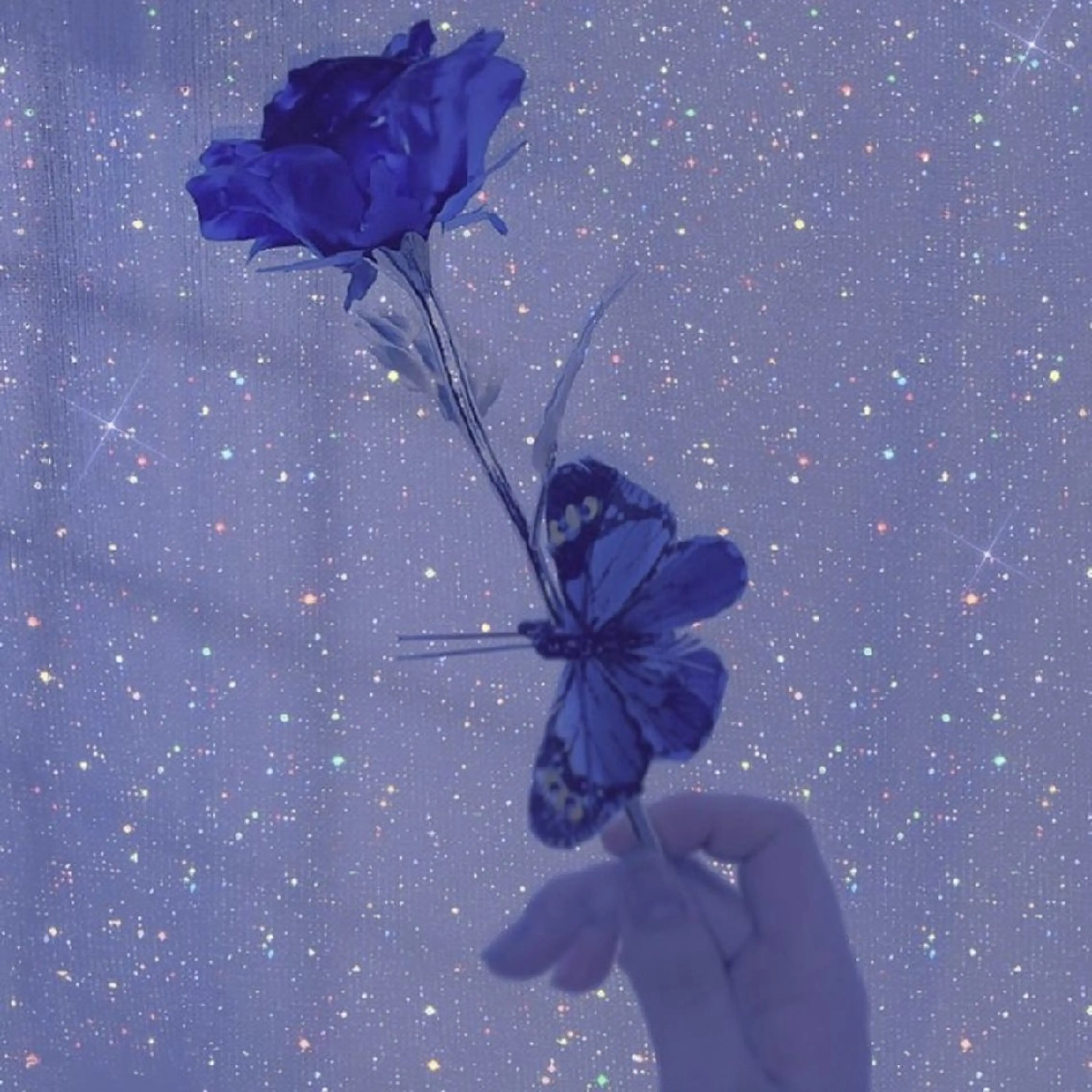 【バスト専門店 】 Kiana のエステ・リラクイメージ