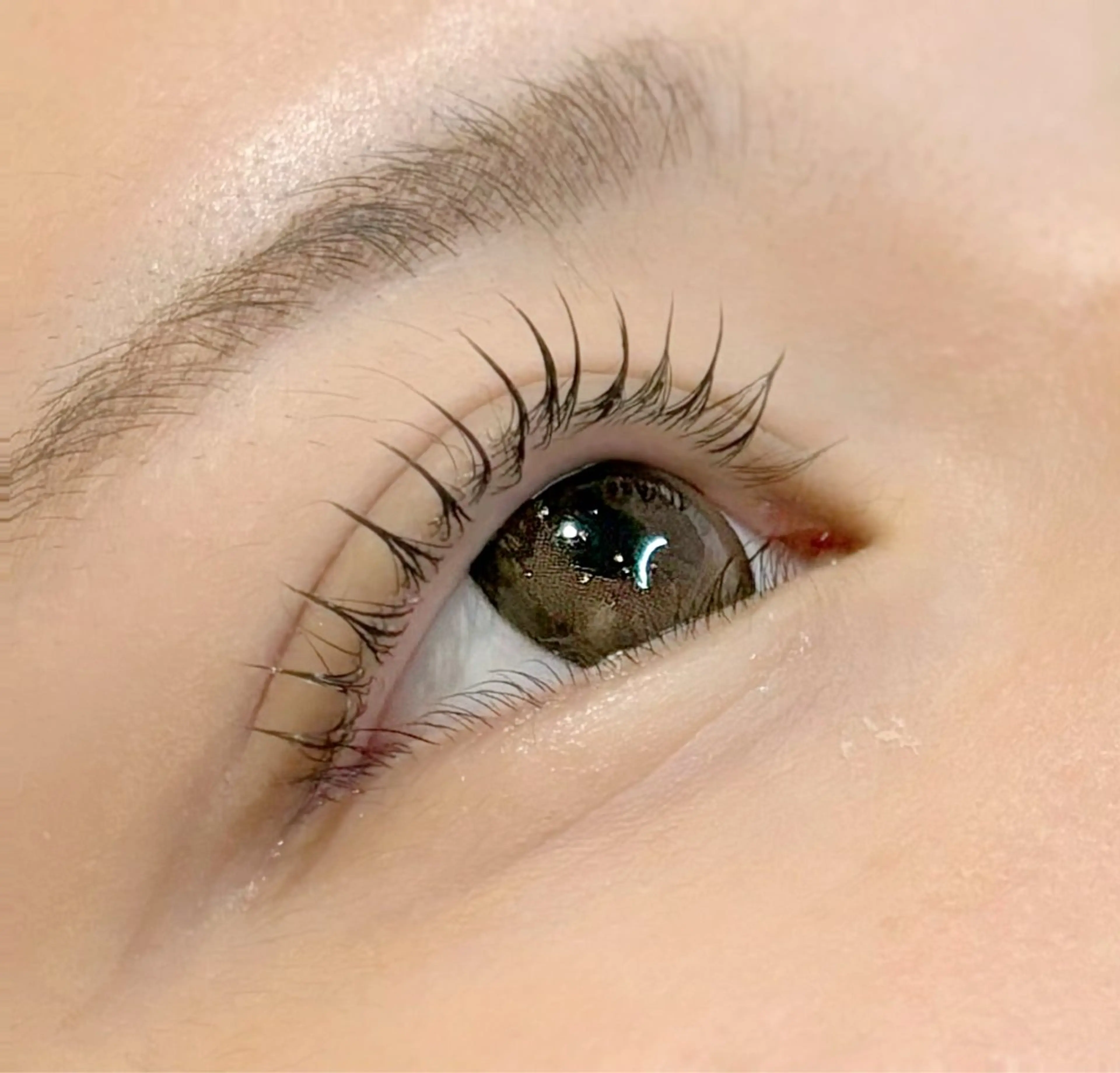 【モニター価格】まつげパーマ 上のみ¥6050→4000の写真