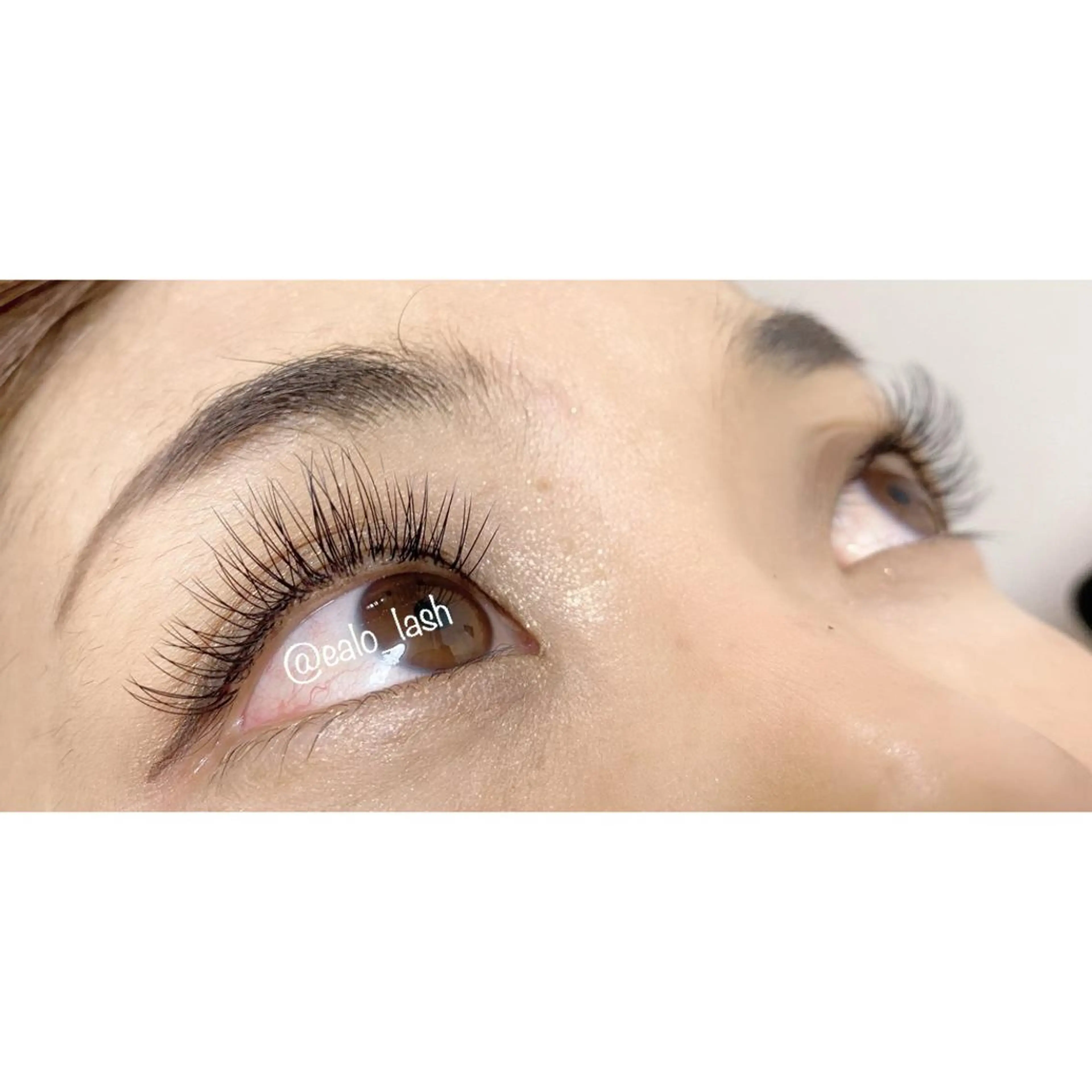 最高級セーブル100本 付け足し500円付け替えオフ1000円の写真