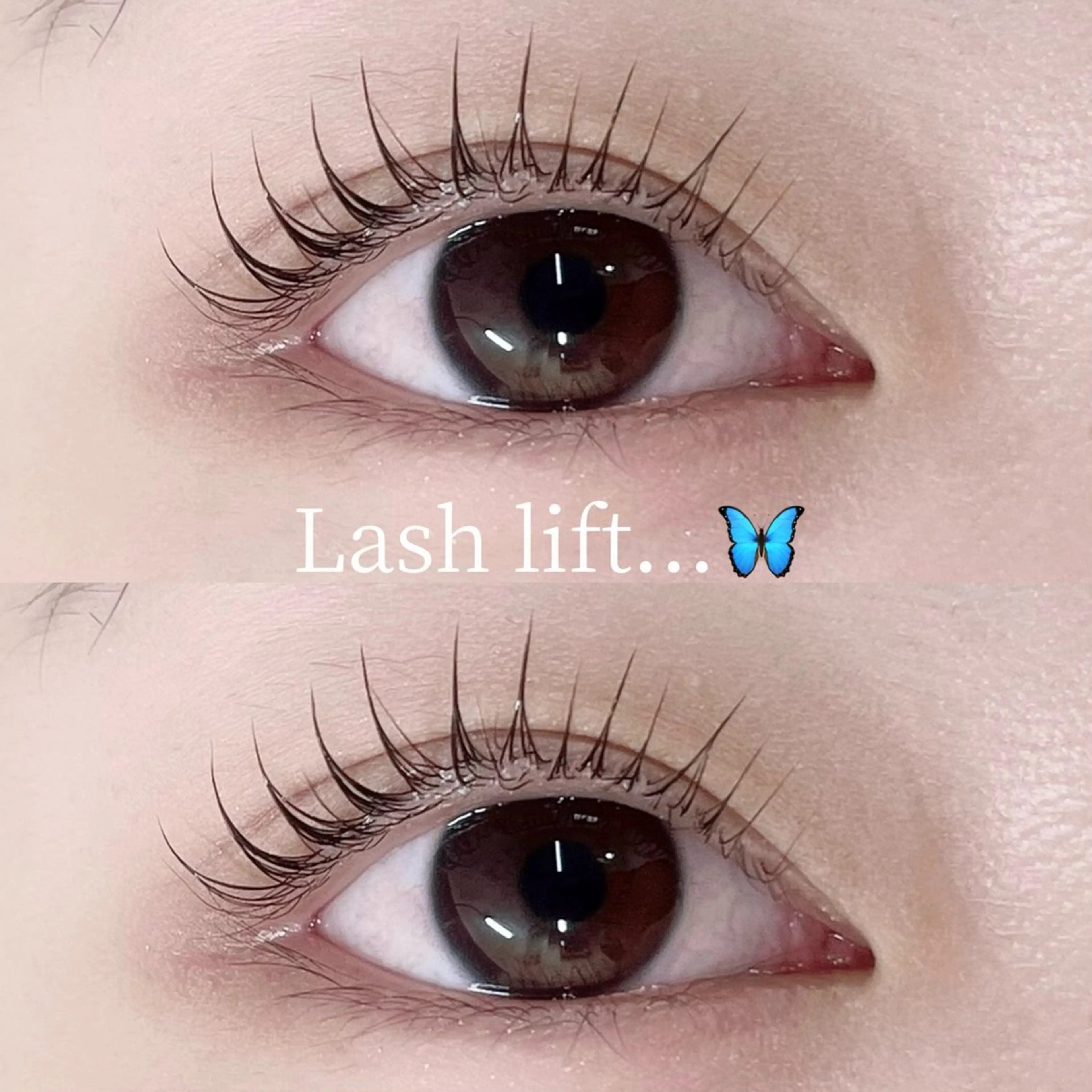 マツエク・マツパ 🪐WOLTOKYO 🪐yu-kiのマツエク・マツパデザイン