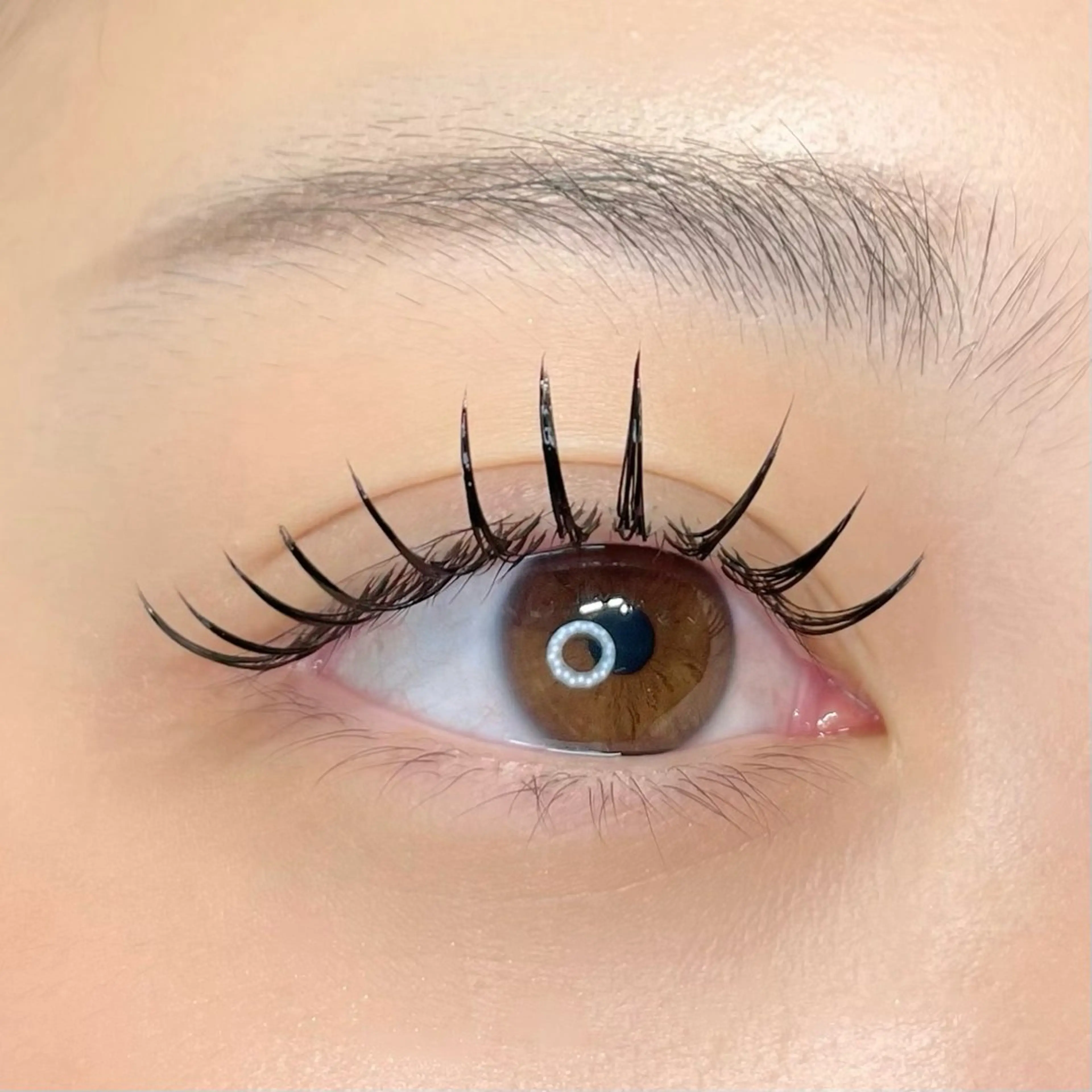 フラットラッシュ100本🎀初回他店オフ込み¥4400の写真