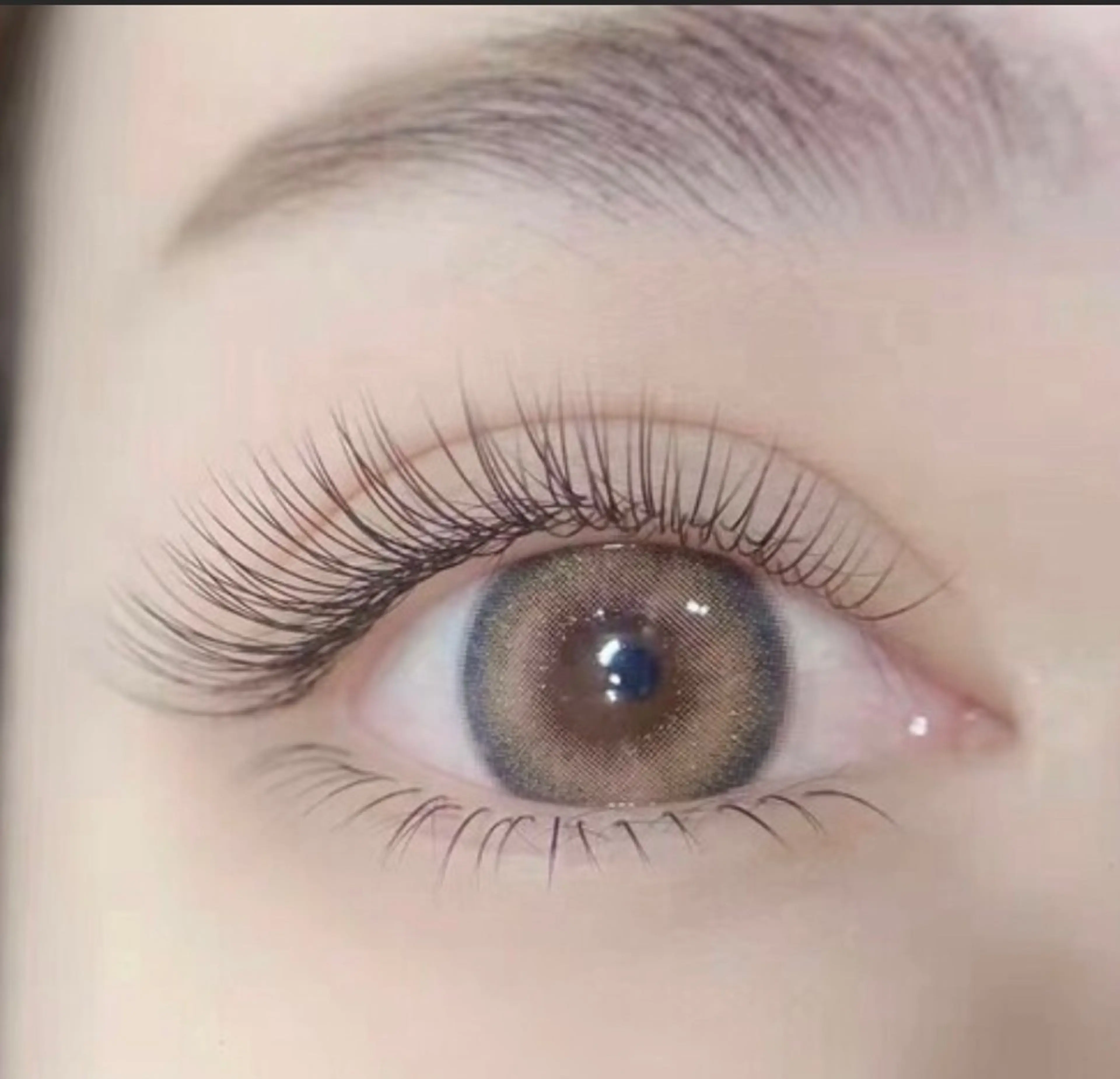 【★新規様大セール】定番★ 超軽量高持続フラットラッシュ100本➕下まつげ30本   【LED込み】オフ+15分の写真