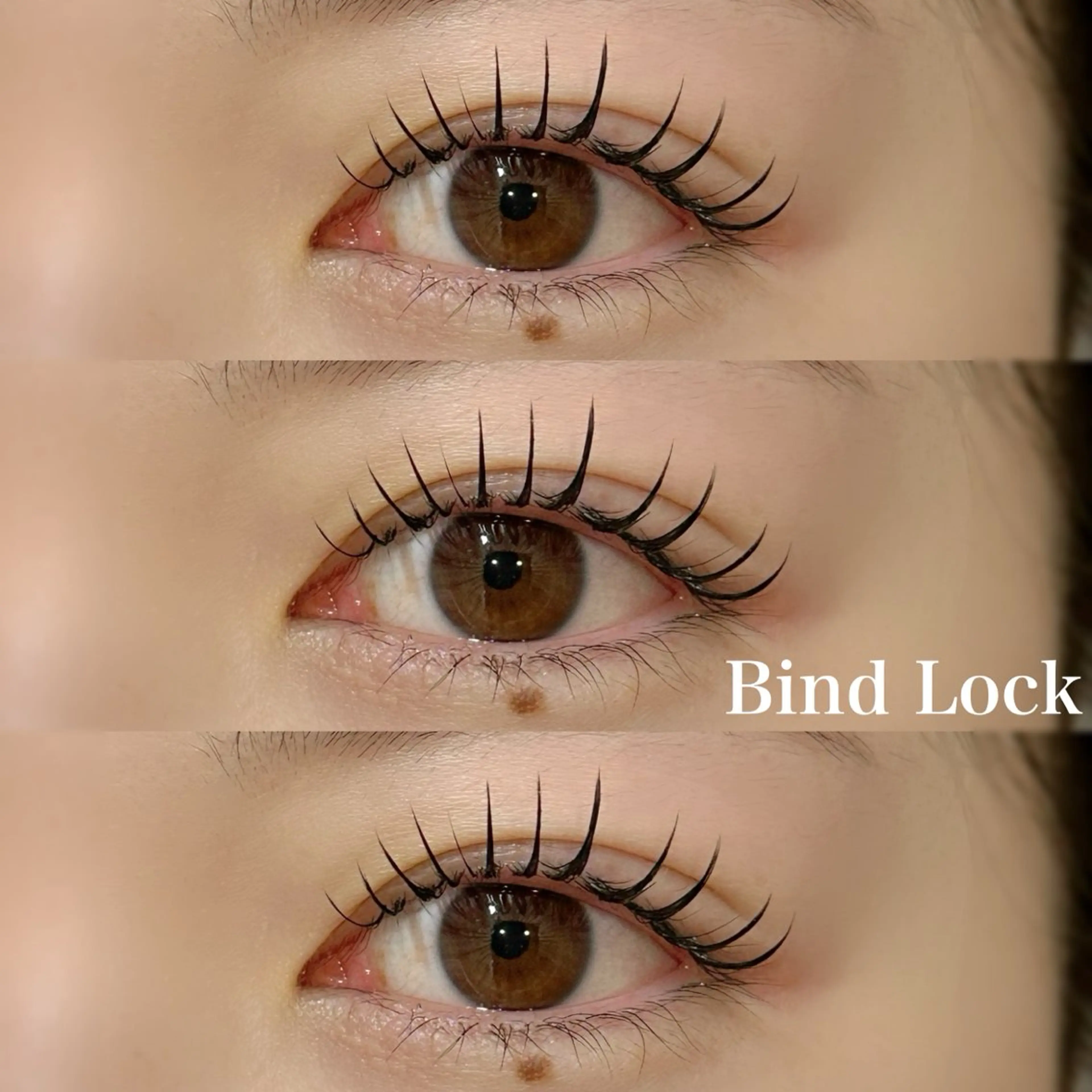 ☆持続力No.1☆バインドロック140本(70束)の写真