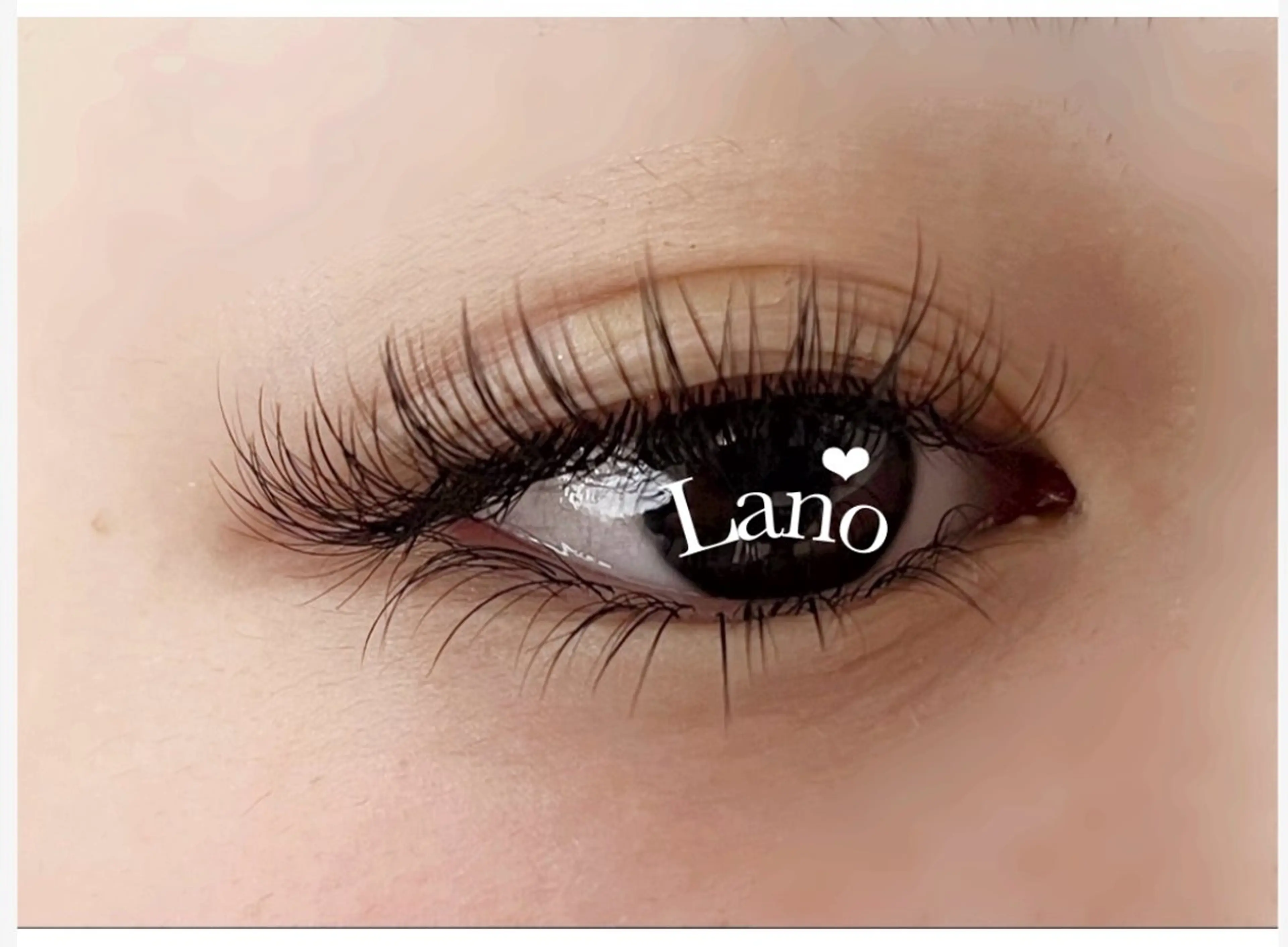 持続力UP🤩バインドロック/ダブルフラット【上１３０束＆下４０束】オフ込の写真