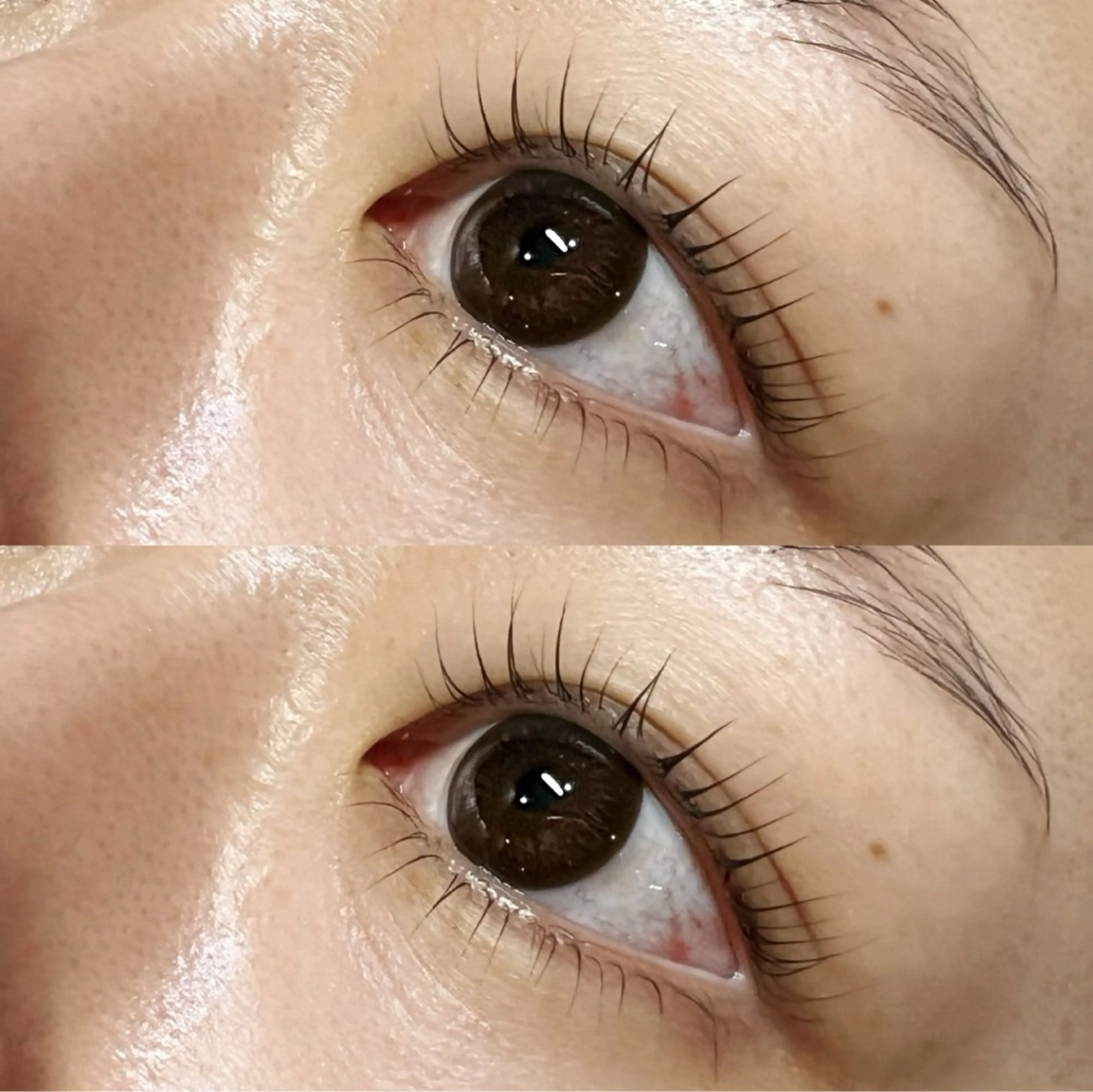 マツエク・マツパ Q-LASH 千葉店のマツエク・マツパデザイン