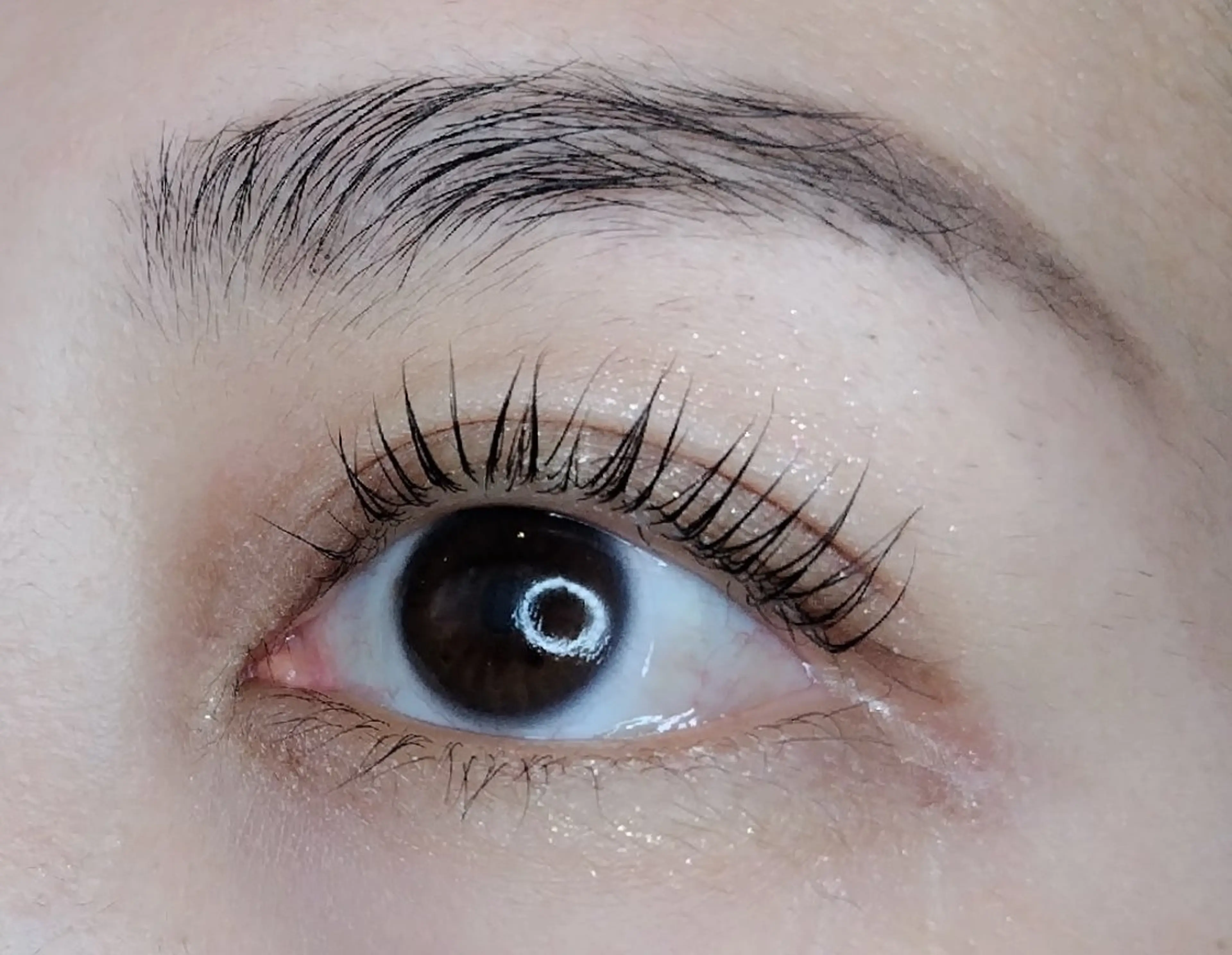 マツエク・マツパ MAXまつ毛&  フェイシャルのマツエク・マツパデザイン