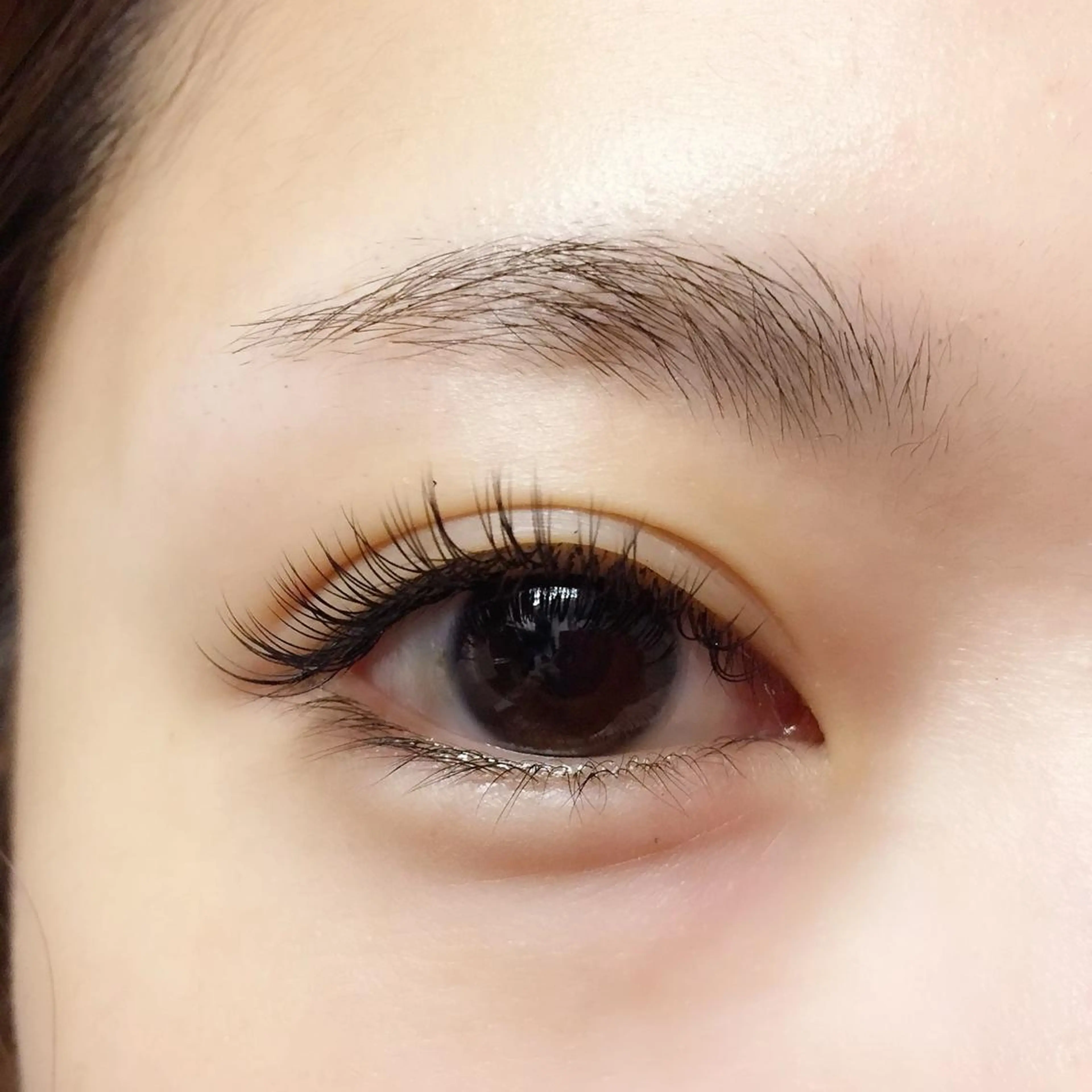 最高級セーブル🌿100本の写真