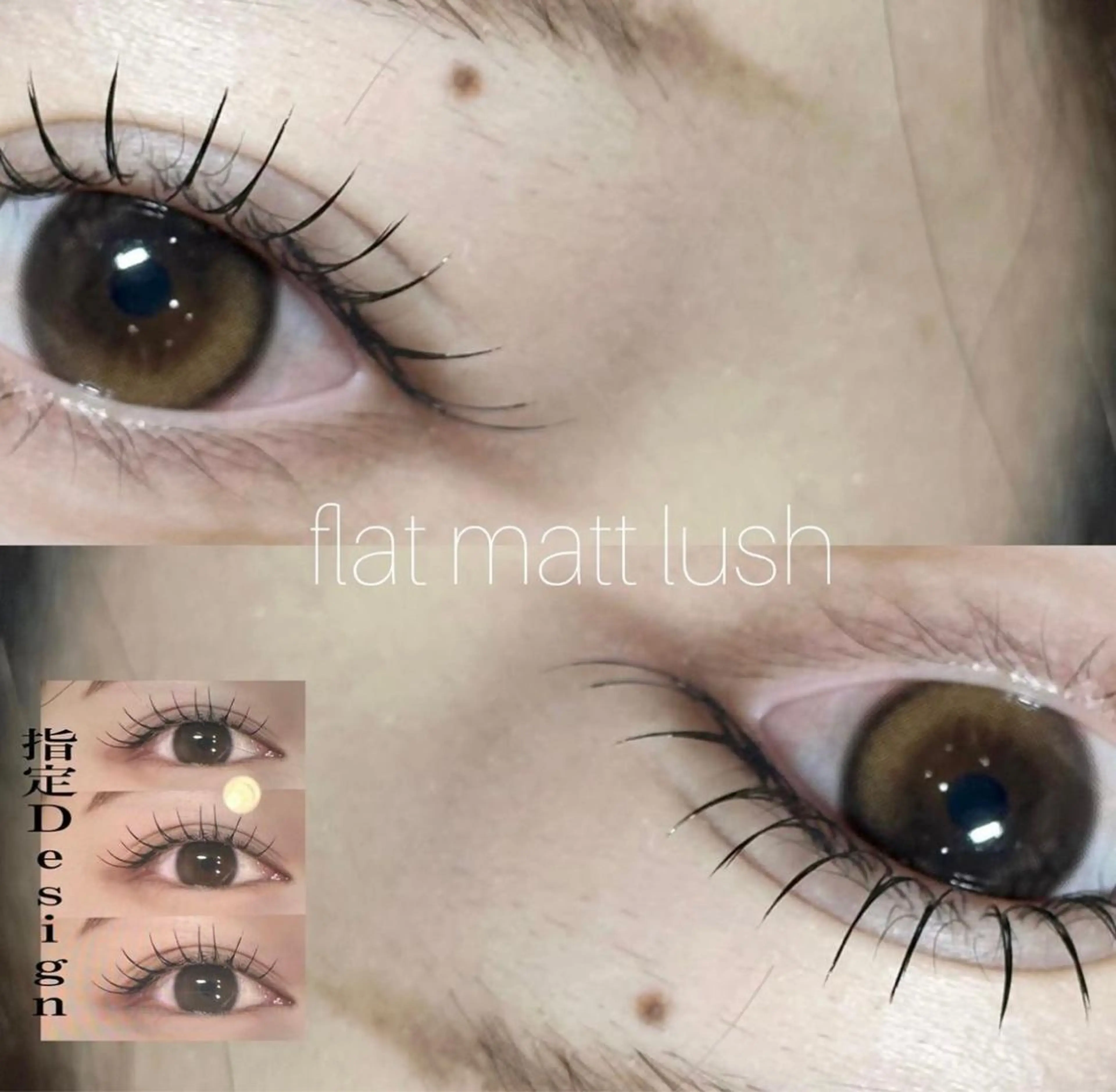 LEDエクステ（200本まで）フラットラッシュ🎀の写真