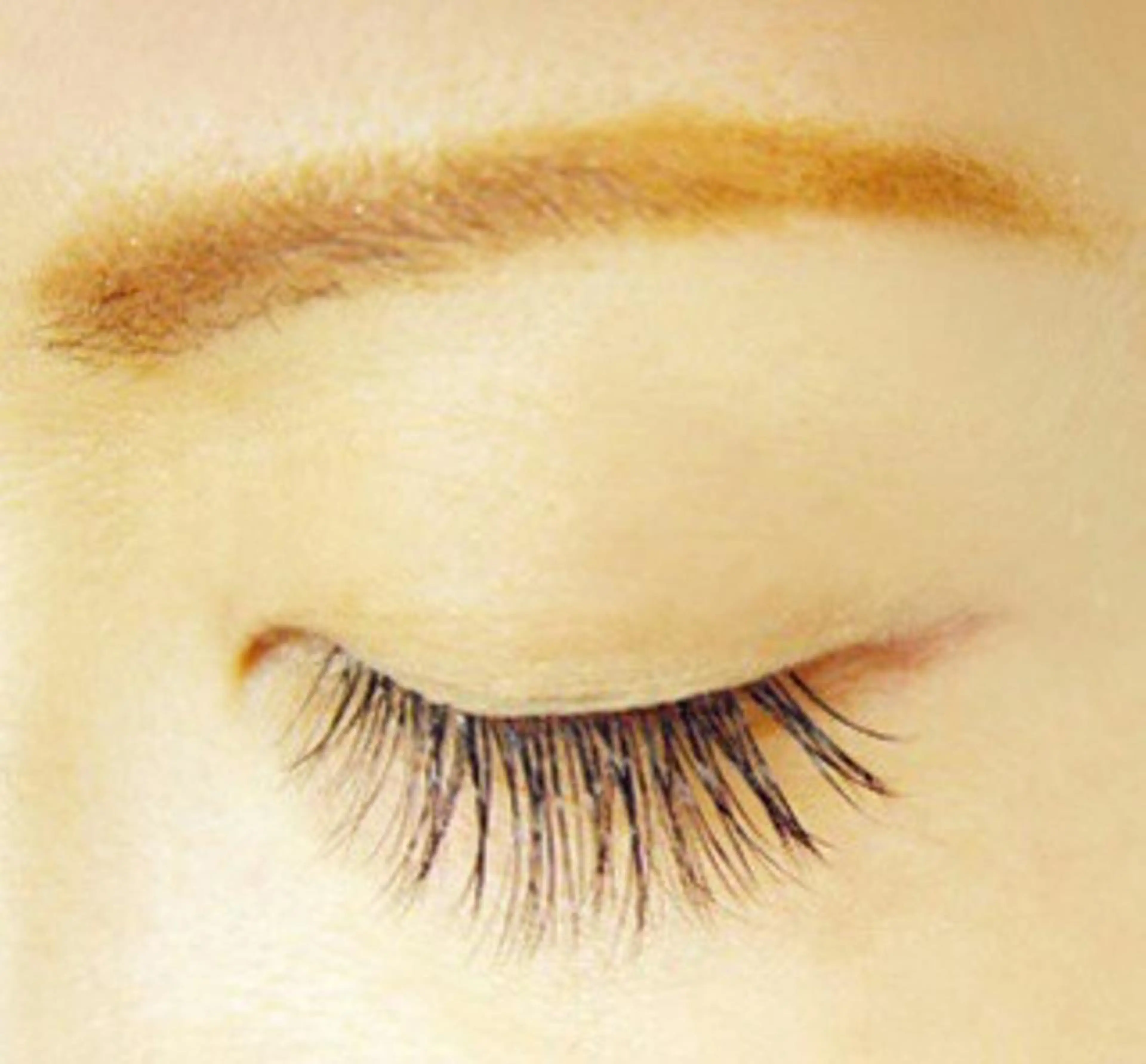 2Dナチュラルラッシュ･80分本数無制限付替オフ込の写真