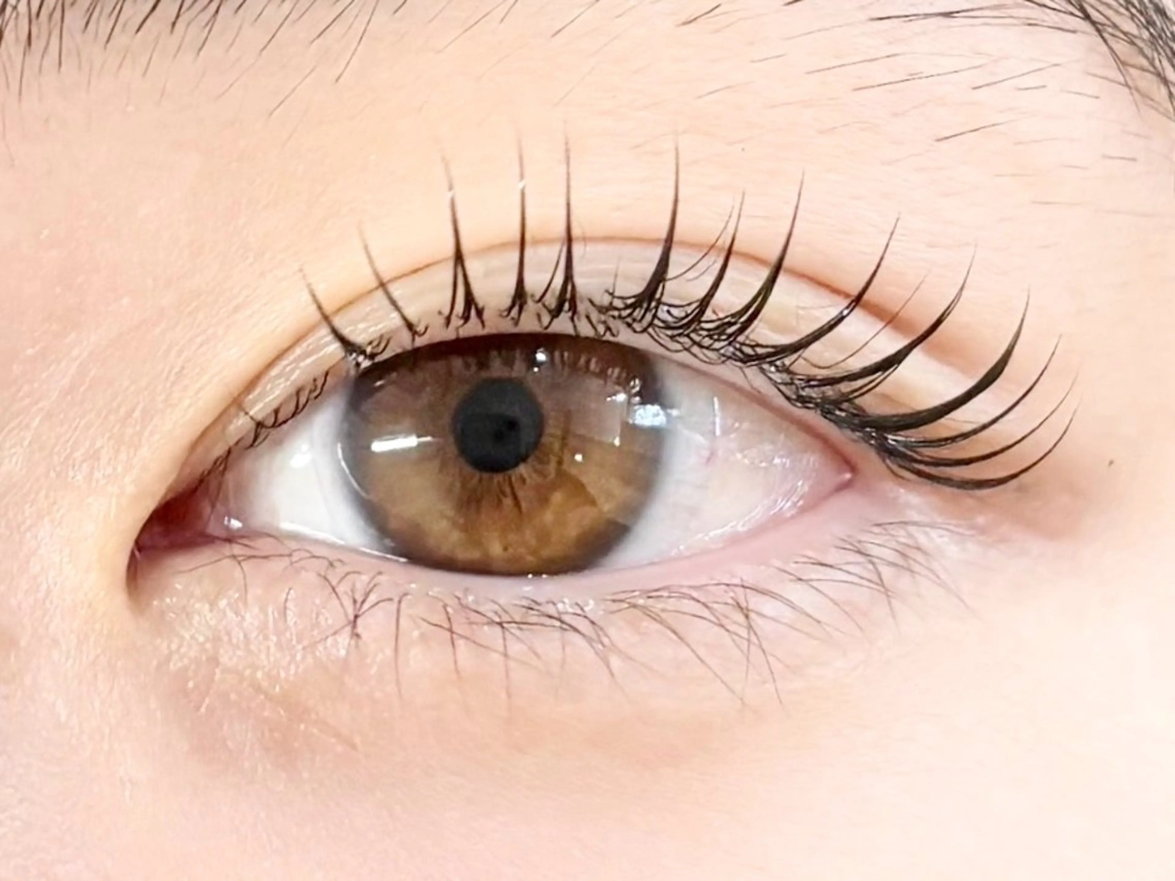 マツエク・マツパ ナチュラル マツパ アイラッシュサロン【エフドゥ】所属・中村彩香 (エフドゥ)のマツエク・マツパデザイン