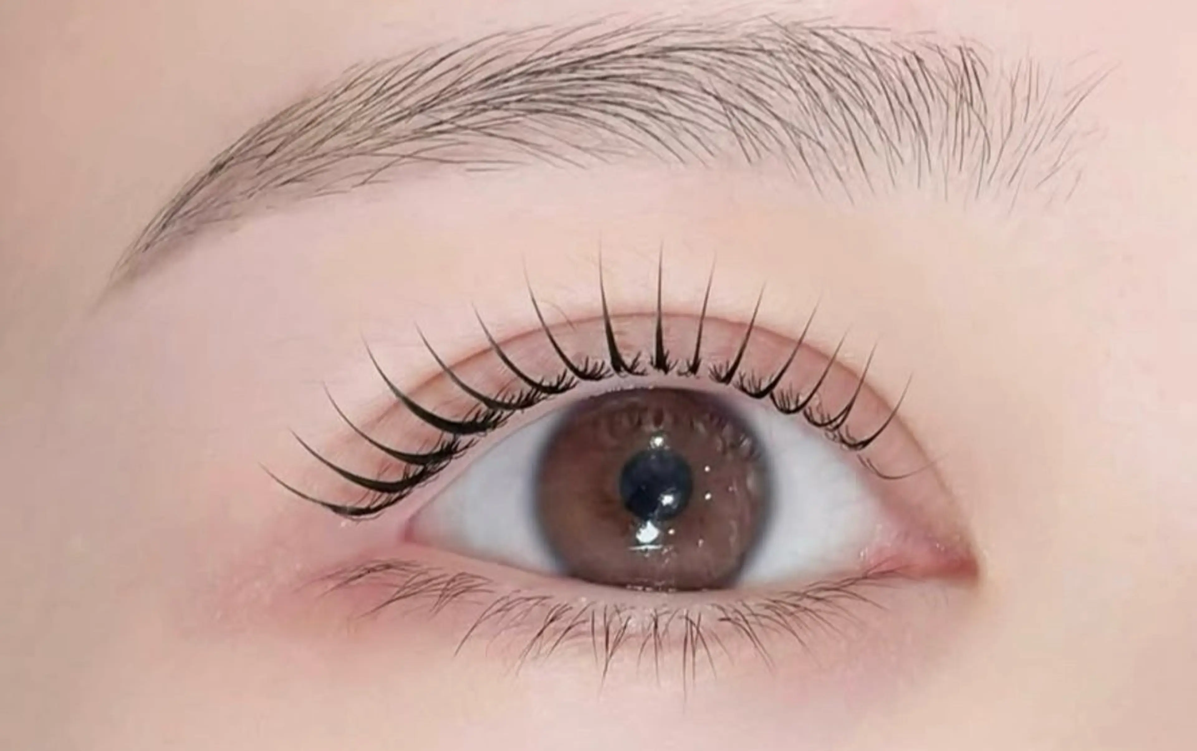 パリジェンヌラッシュリフト 🪽の写真