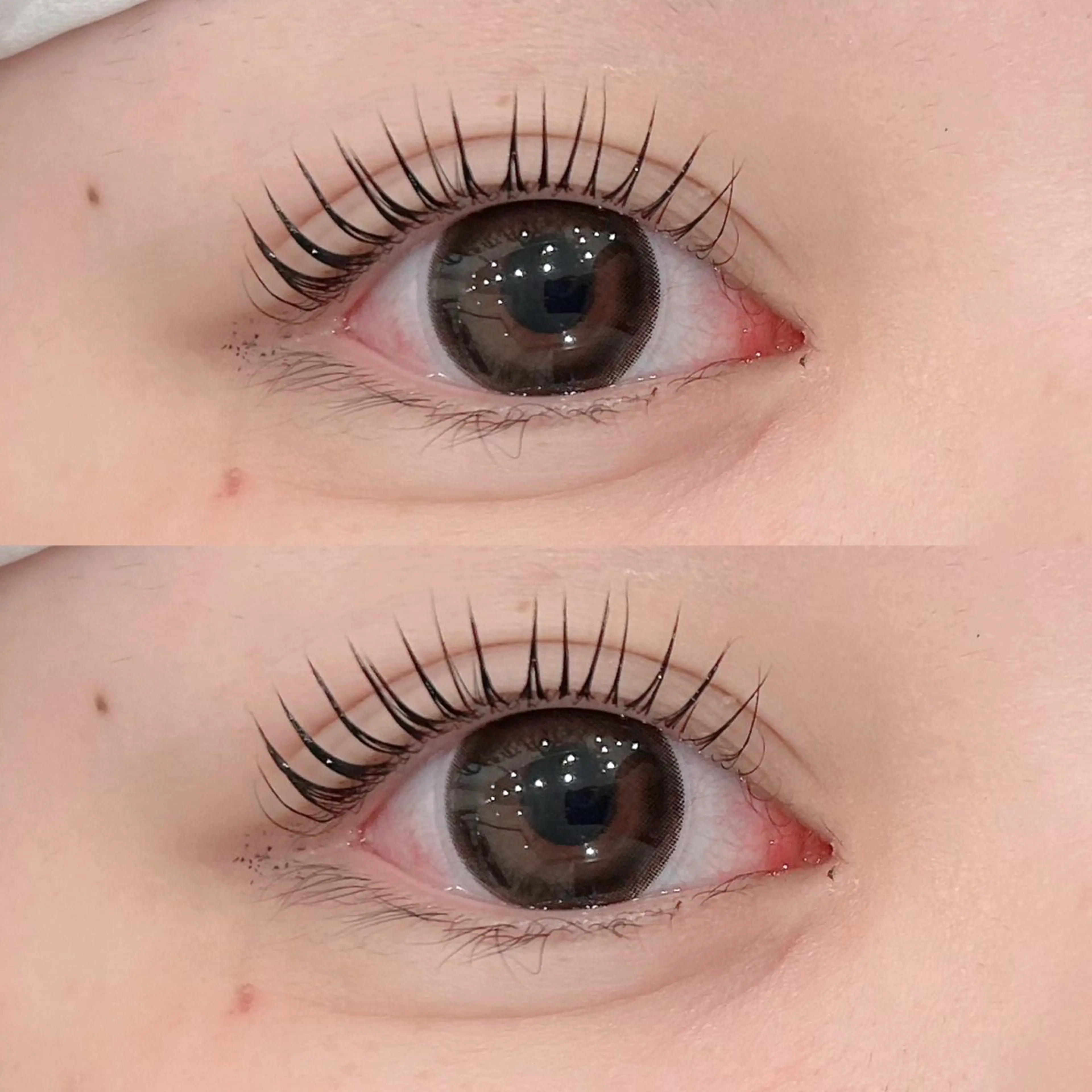 マツエク・マツパ Daisy Lash /天王寺✨樫井美波のマツエク・マツパデザイン