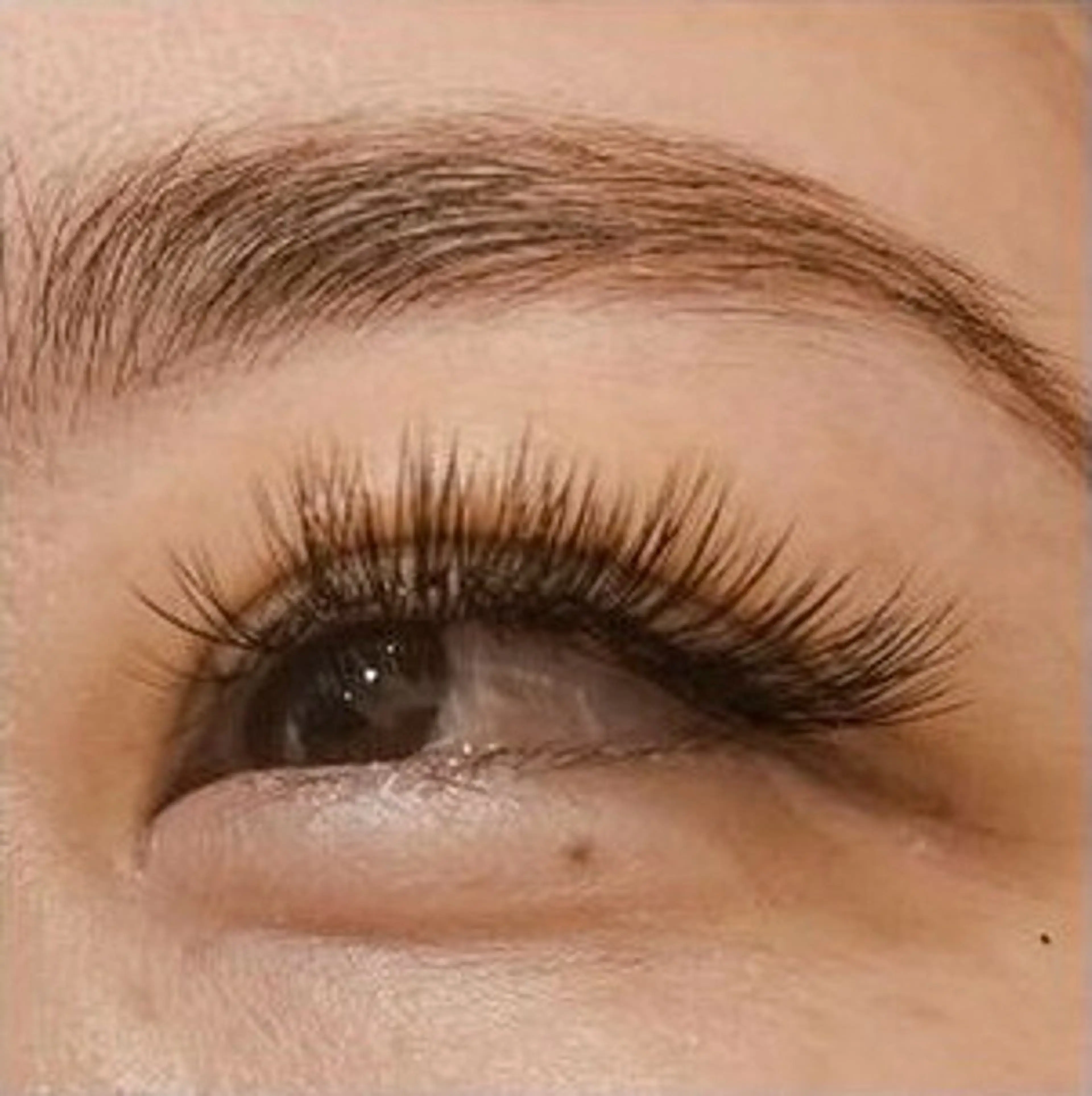 アイブロウ ワックス脱毛 その他(アイブロウ) 海外風まつげ眉毛 恵比寿｜masayoのマツエク・マツパデザイン