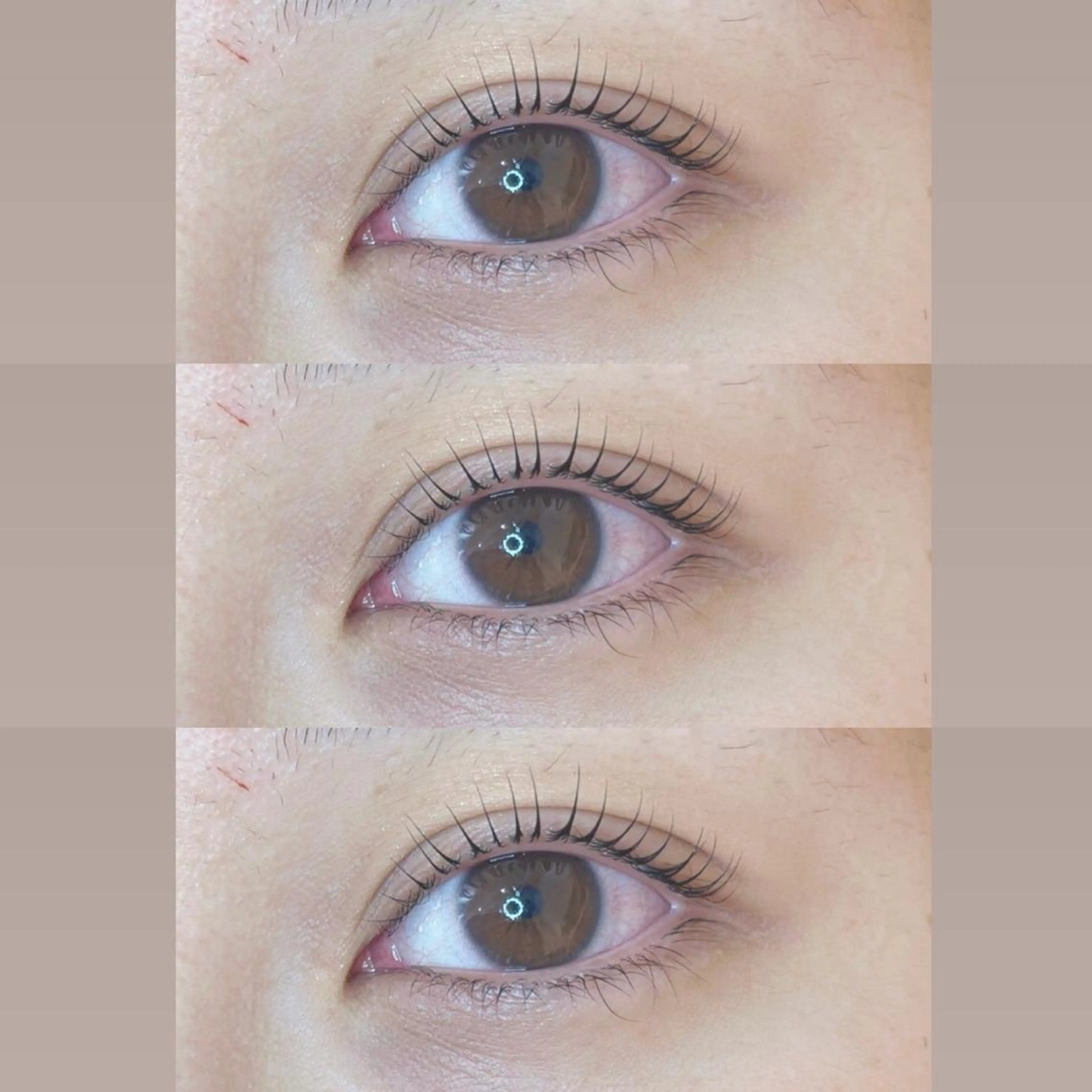 ✨パリジェンヌラッシュリフト✨の写真