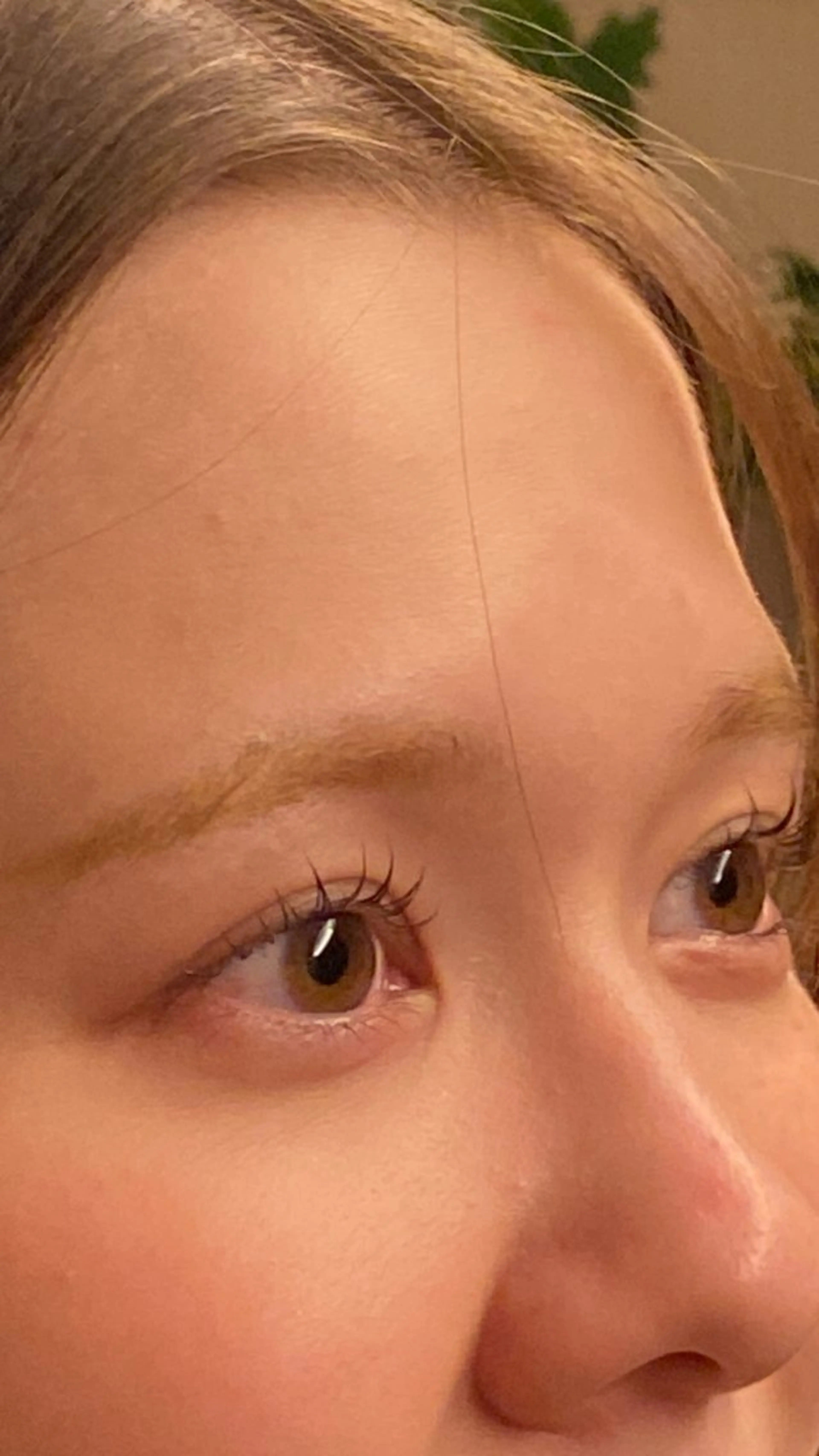 マツエク・マツパ 金武 里恩のマツエク・マツパデザイン