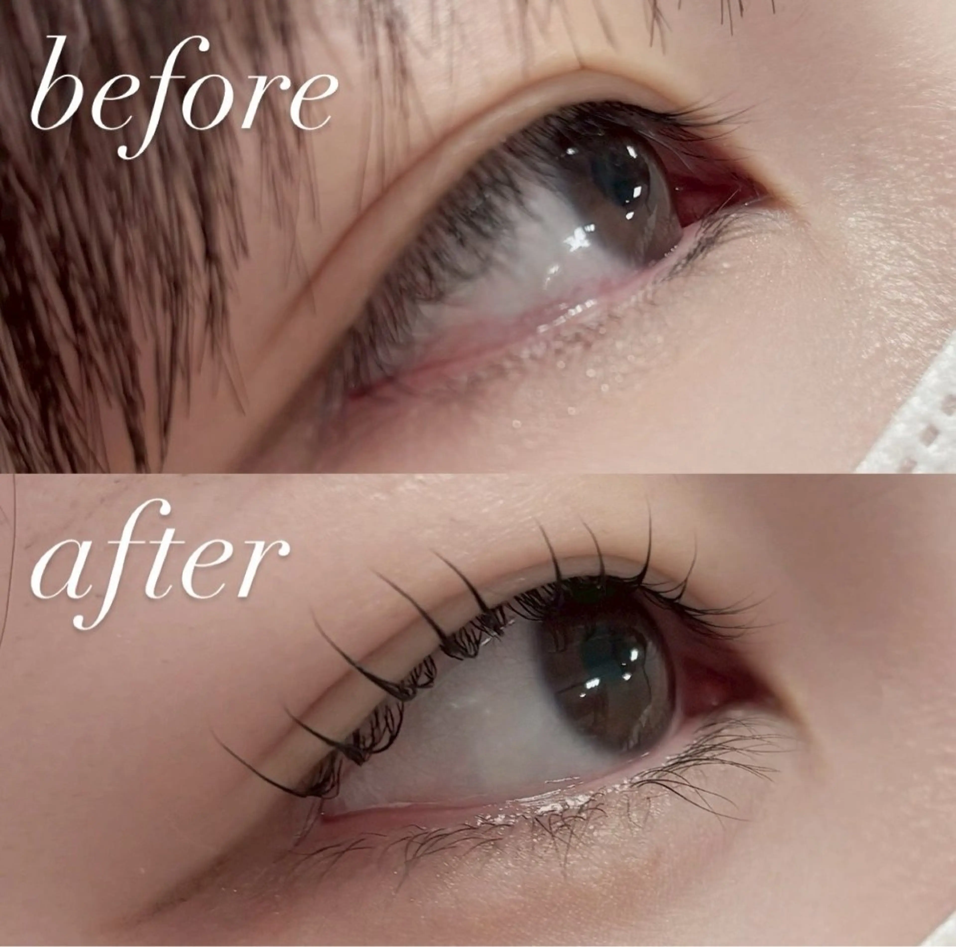 マツエク・マツパ マツパ 🏵️tico@ Risa🏵️のエステ・リラクイメージ