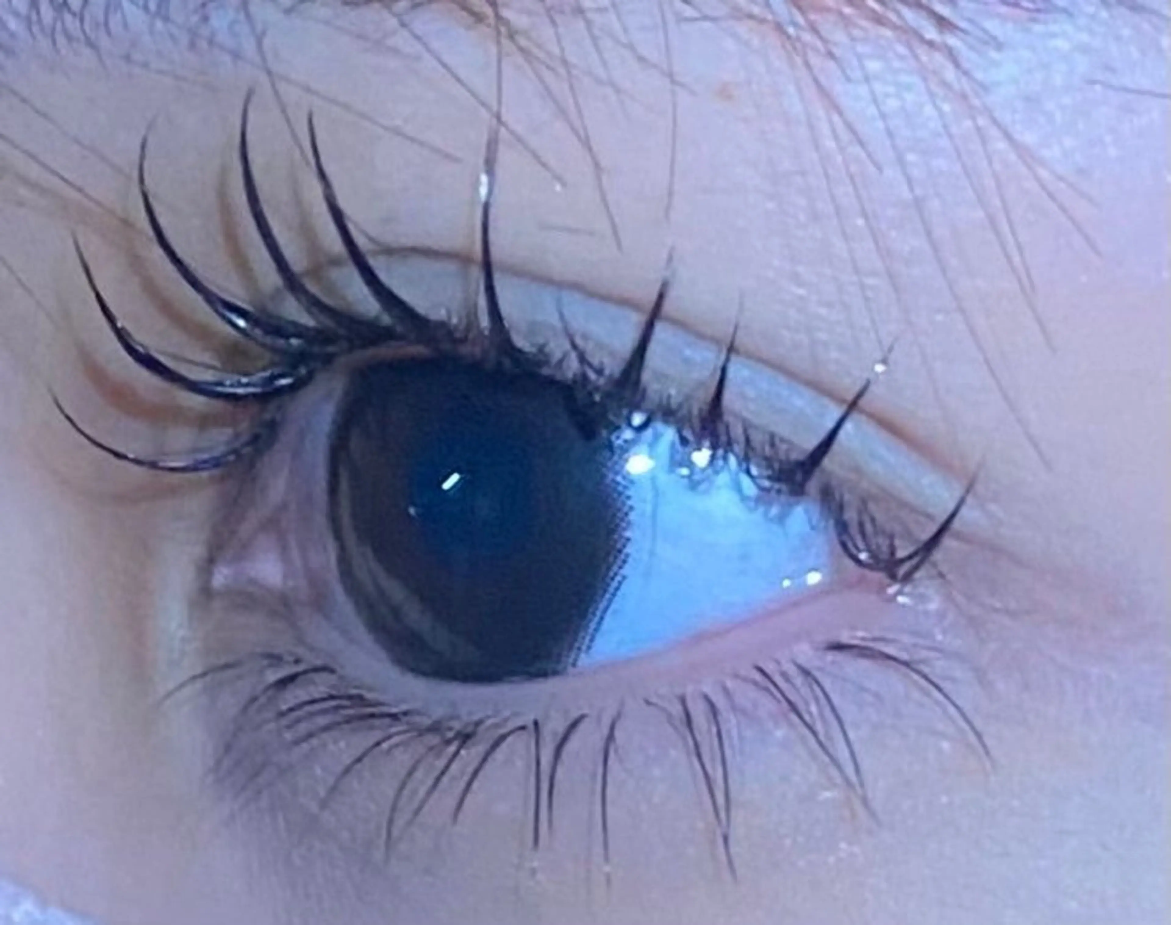 🫧最高級フラットラッシュ100本¥5,700→¥4,200【他店リペア可/オフ可/ミニモ限定特別🕊️】の写真