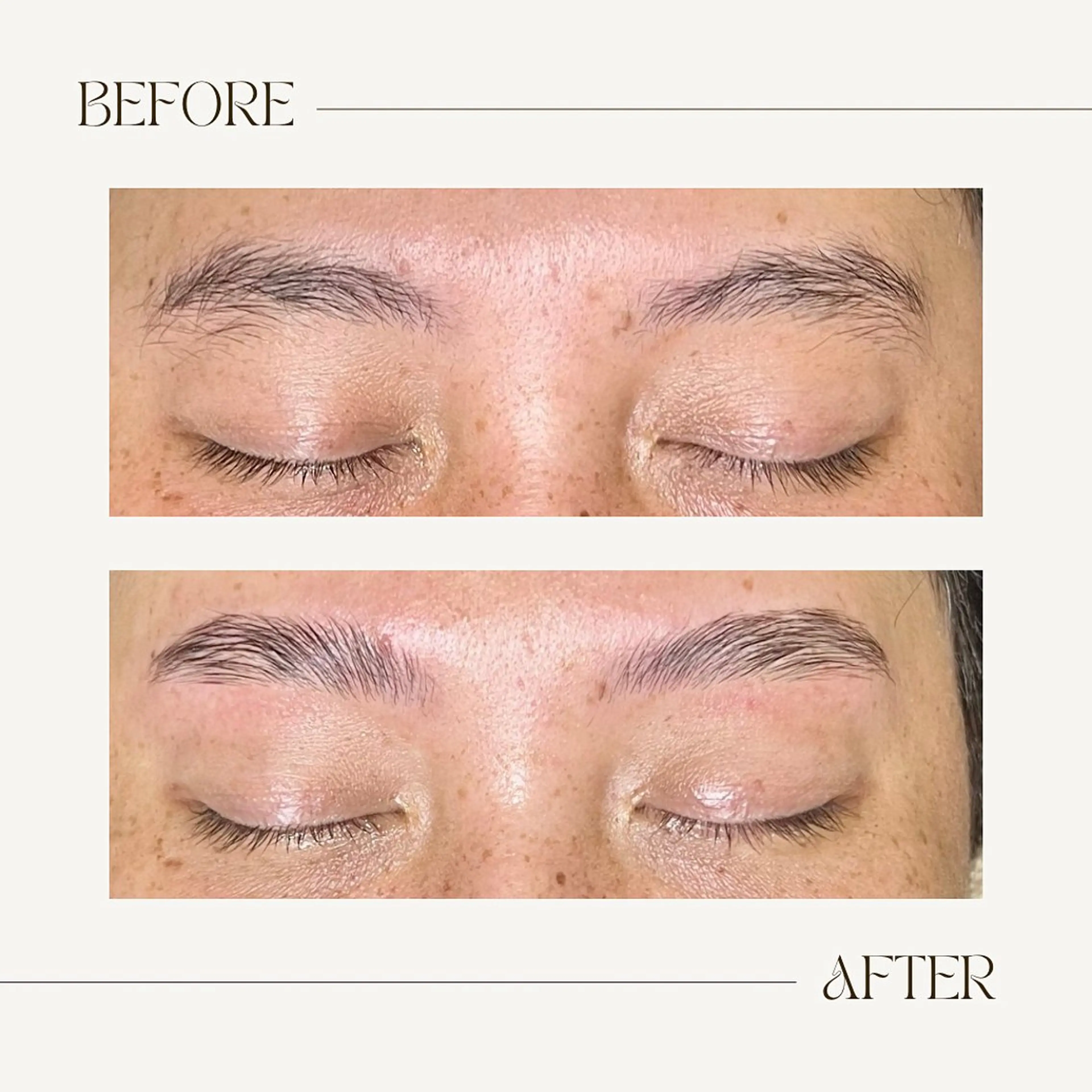 アイブロウ 眉毛ワックス脱毛 アロマとWAXのお店 Lei 緑橋 Ariのエステ・リラクイメージ