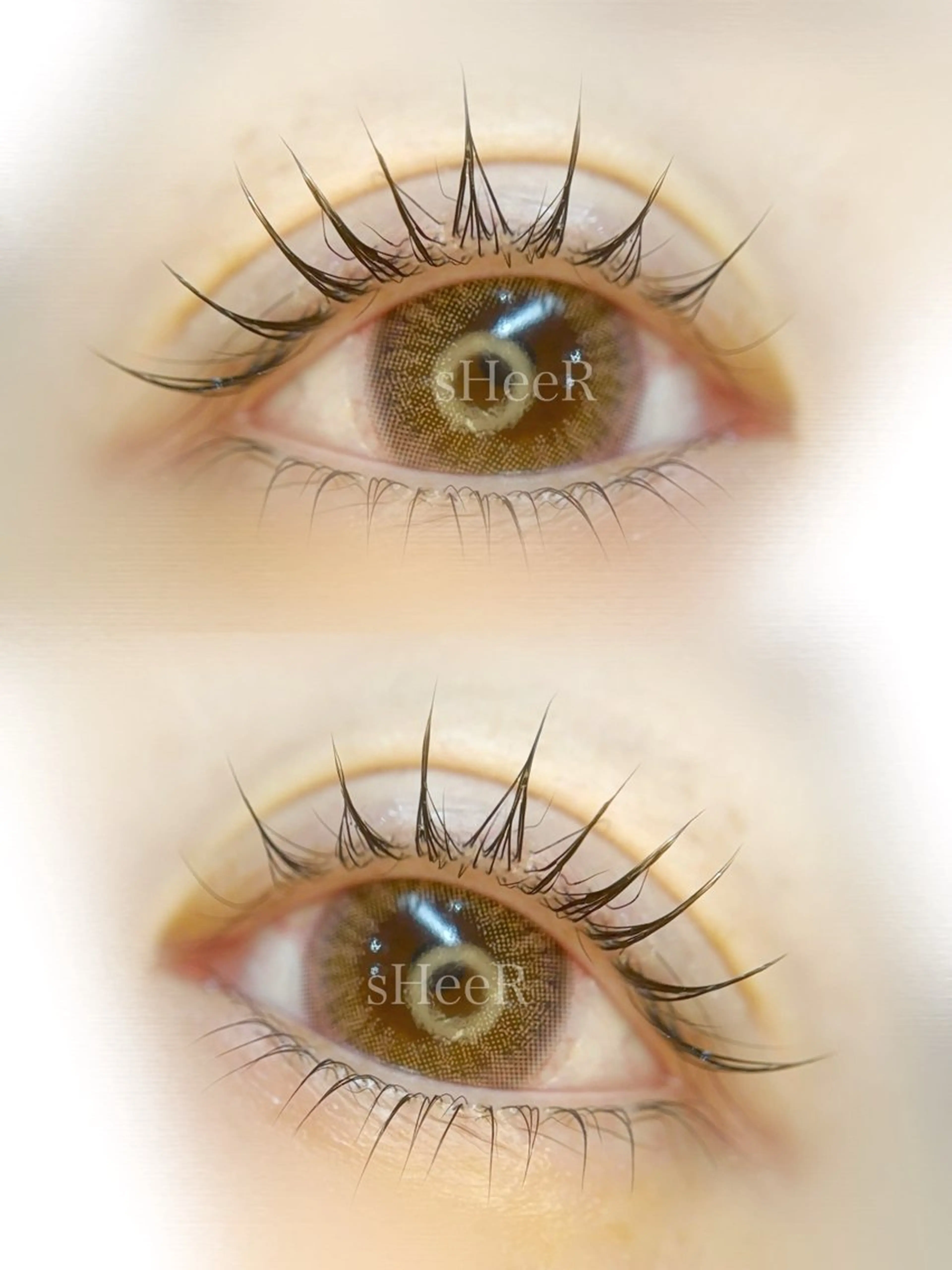 🈹【まつ毛パーマ上下】ラッシュリフト 上下※コーティング付き 束感仕上げの写真