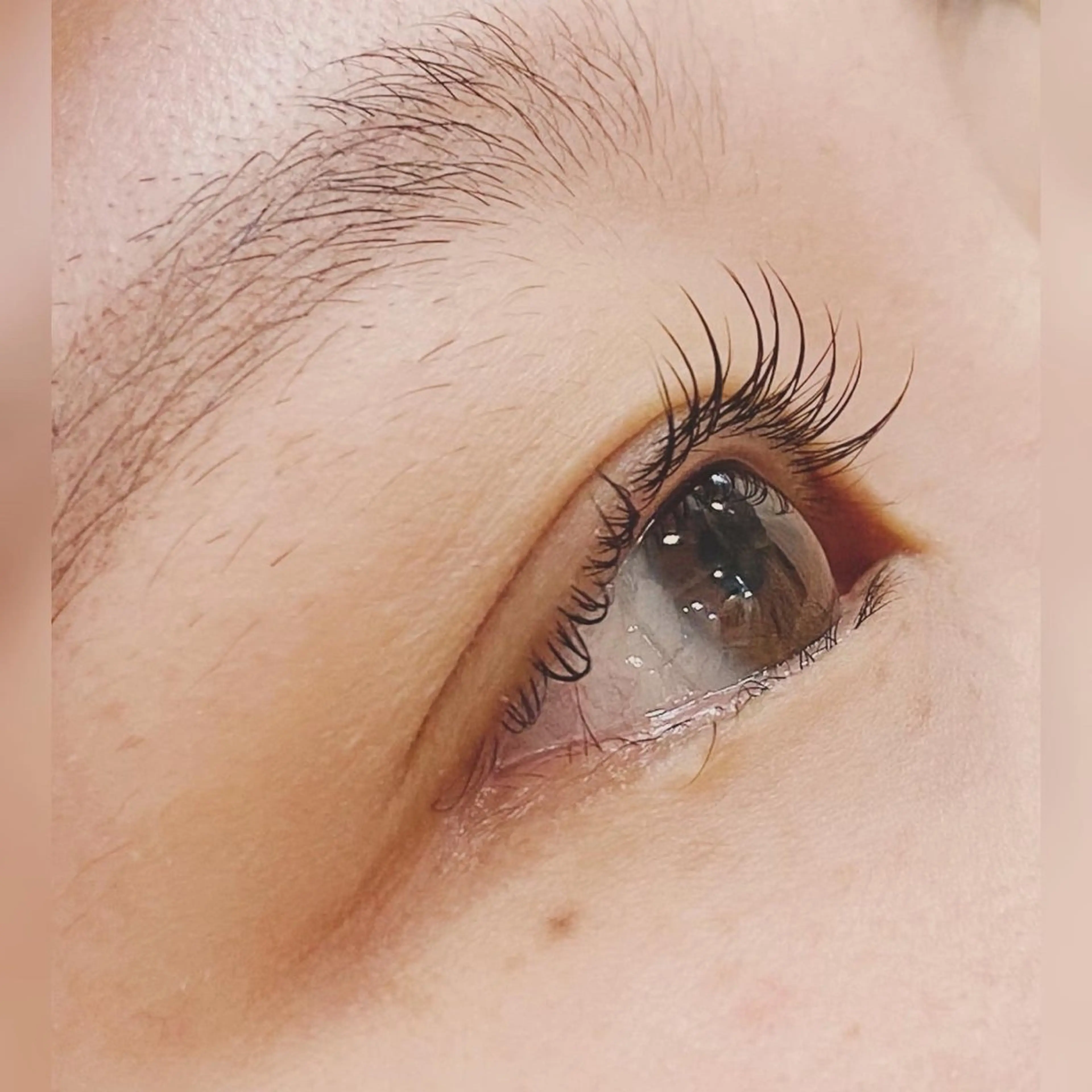 マツエク・マツパ Cカール Glitter所属・菊入明海/マツパ/眉 ワックスのマツエク・マツパデザイン