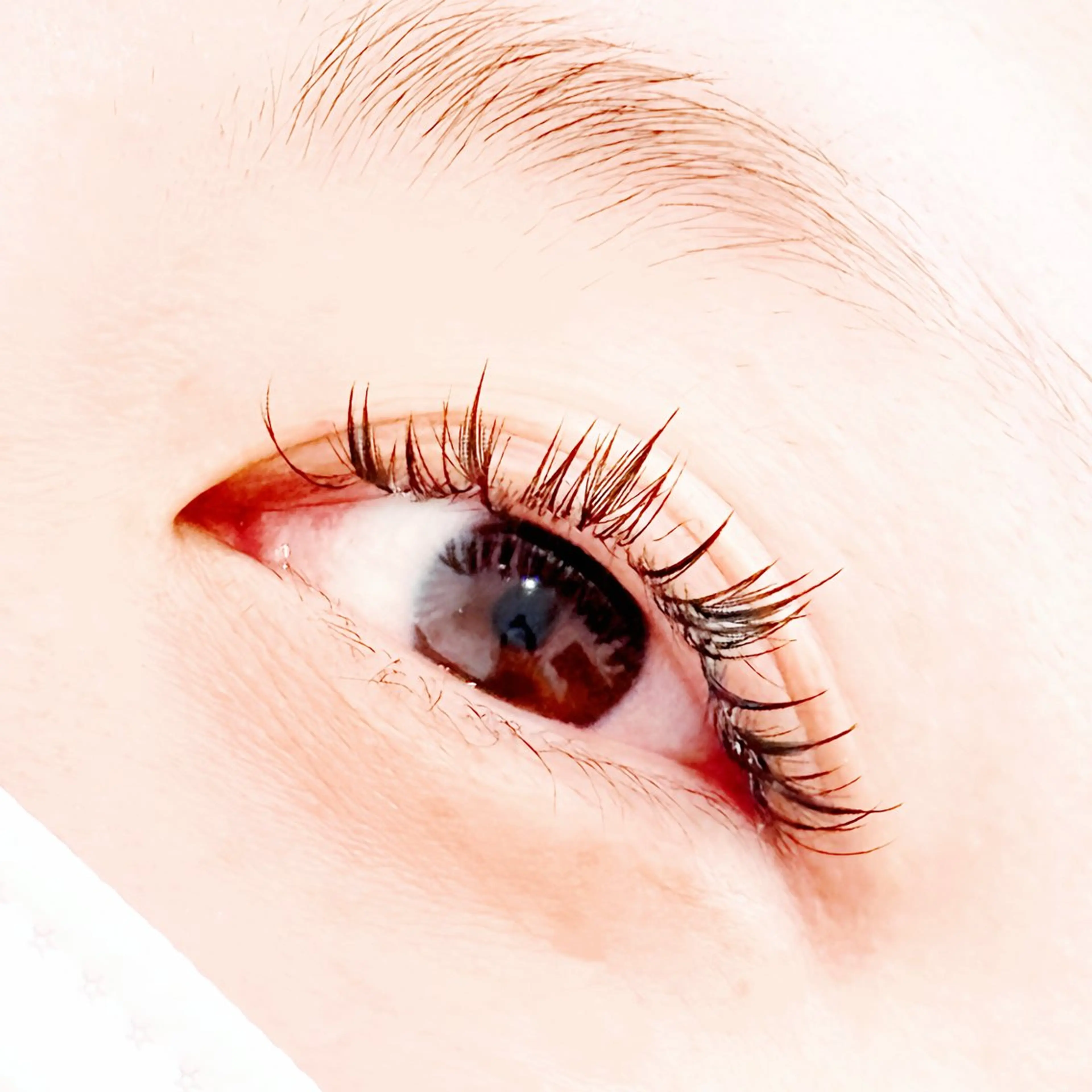 マツエク・マツパ ワンホンマツエク マツエク PROGRESS 龍ヶ崎 小泉🦋のマツエク・マツパデザイン