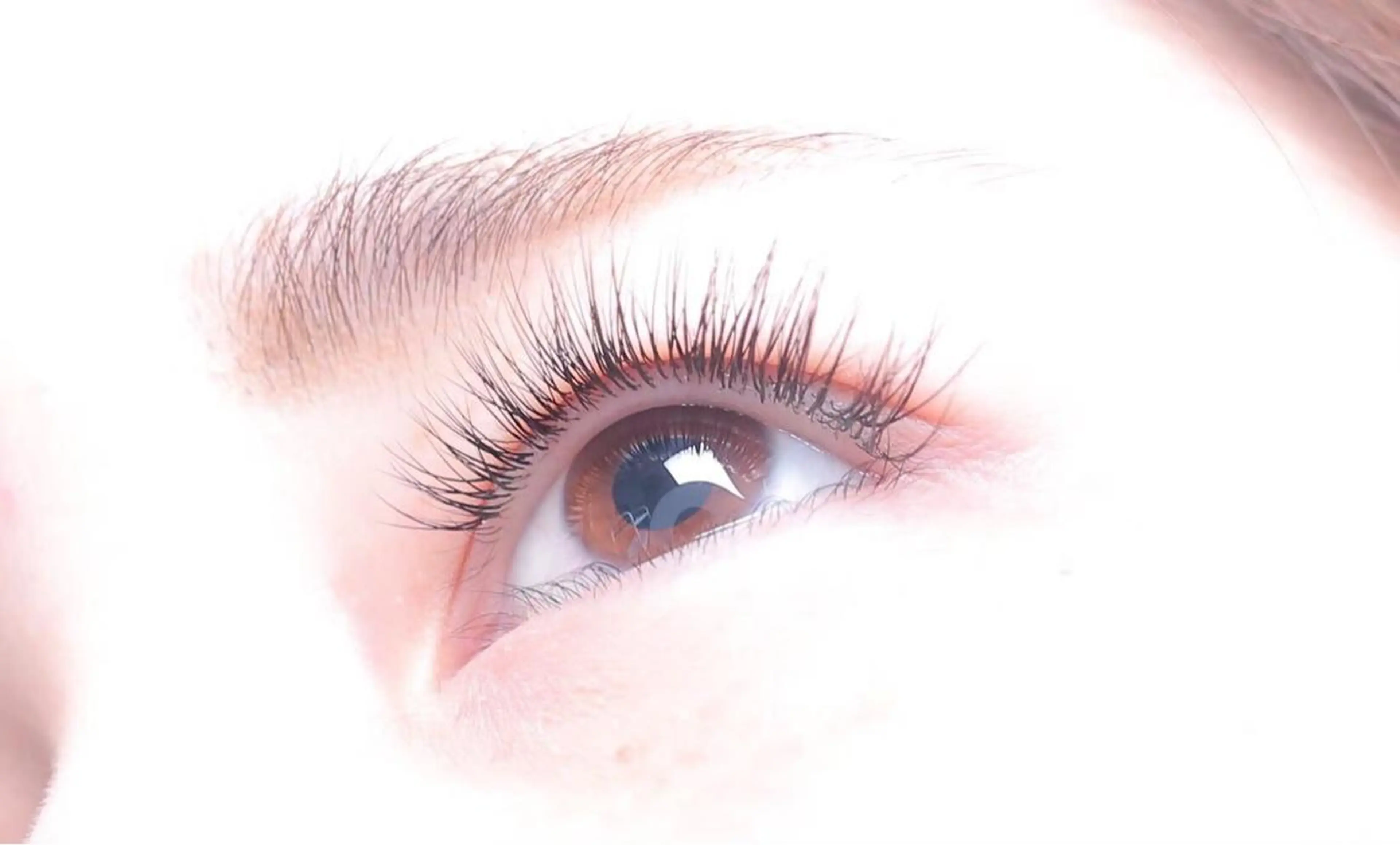 マツエク・マツパ 表参道/原宿 💎Kikutaのマツエク・マツパデザイン