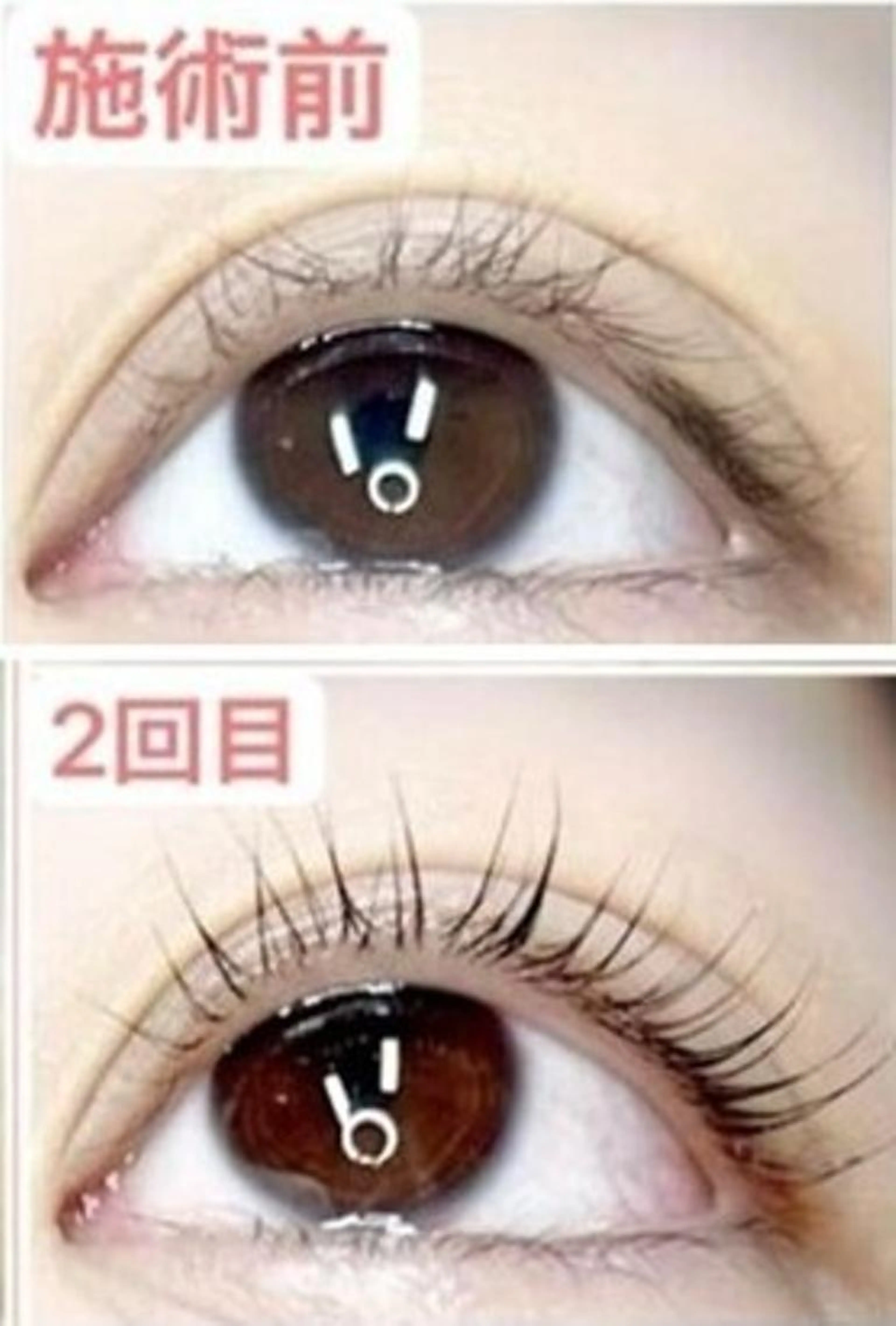 [2回目～]	【まつげパーマ】太く長く濃くが叶う★まつ毛伸びるパーマ/マイラミネ-ションの写真